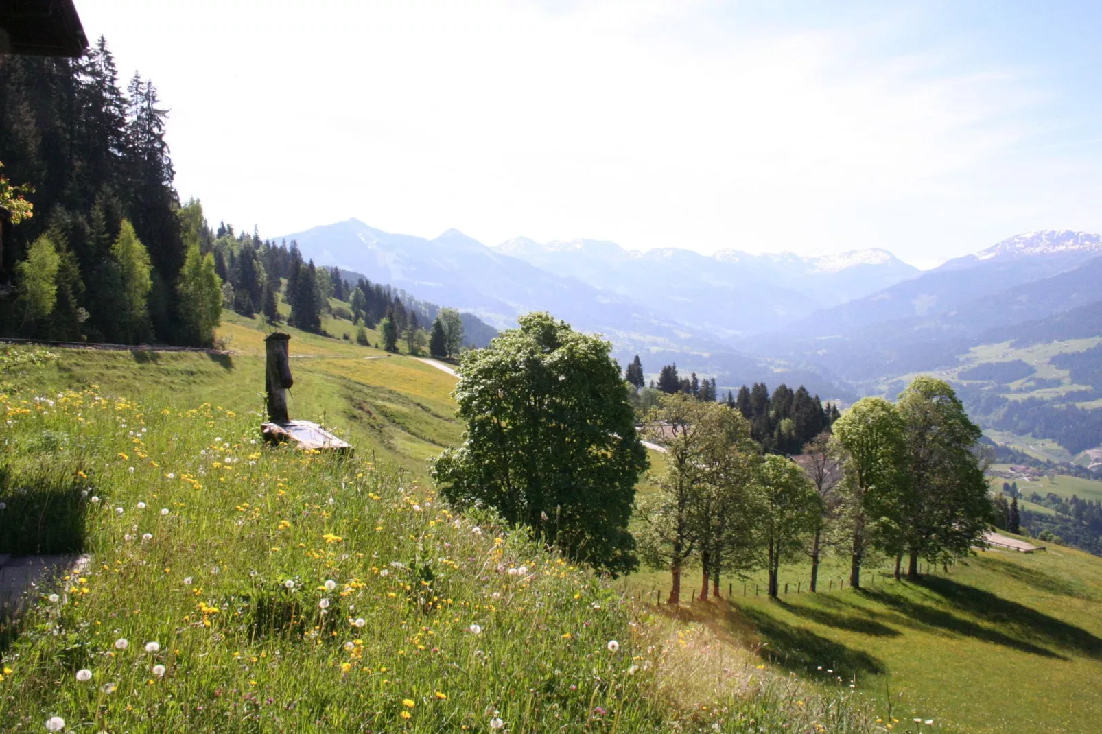 Chalet Hogleit-Uitzicht zomer