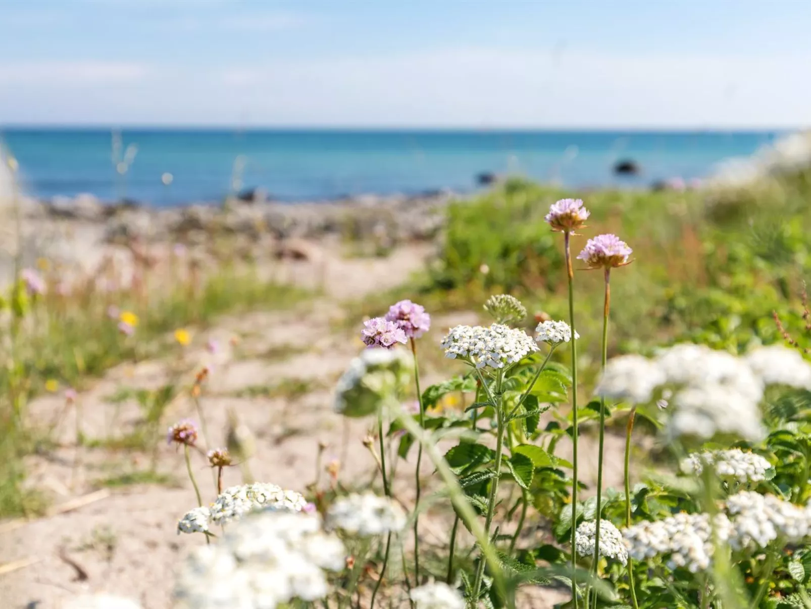 "Enne" - 100m from the sea in Bornholm-Buiten