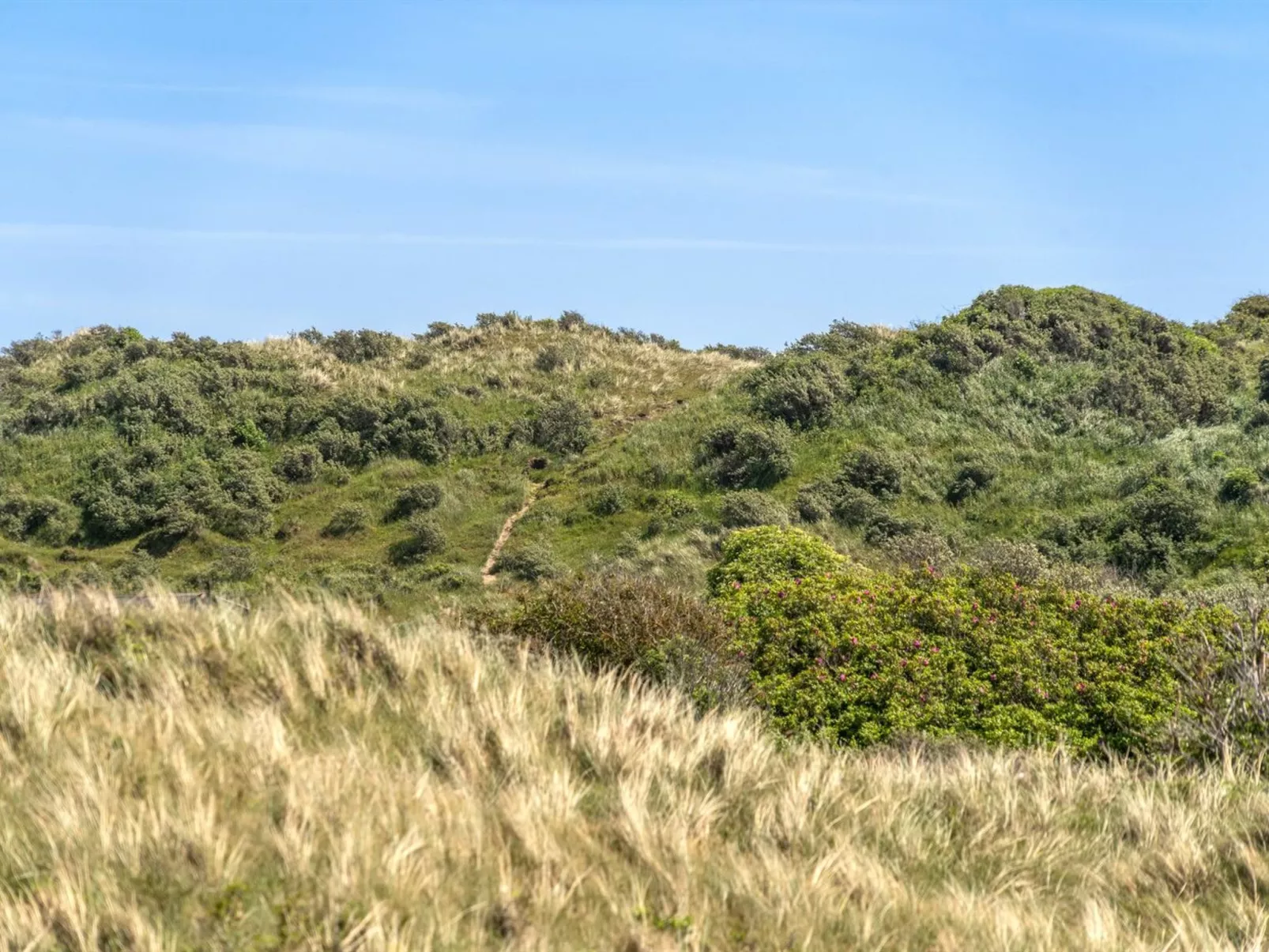 "Randulf" - 450m from the sea-Buiten