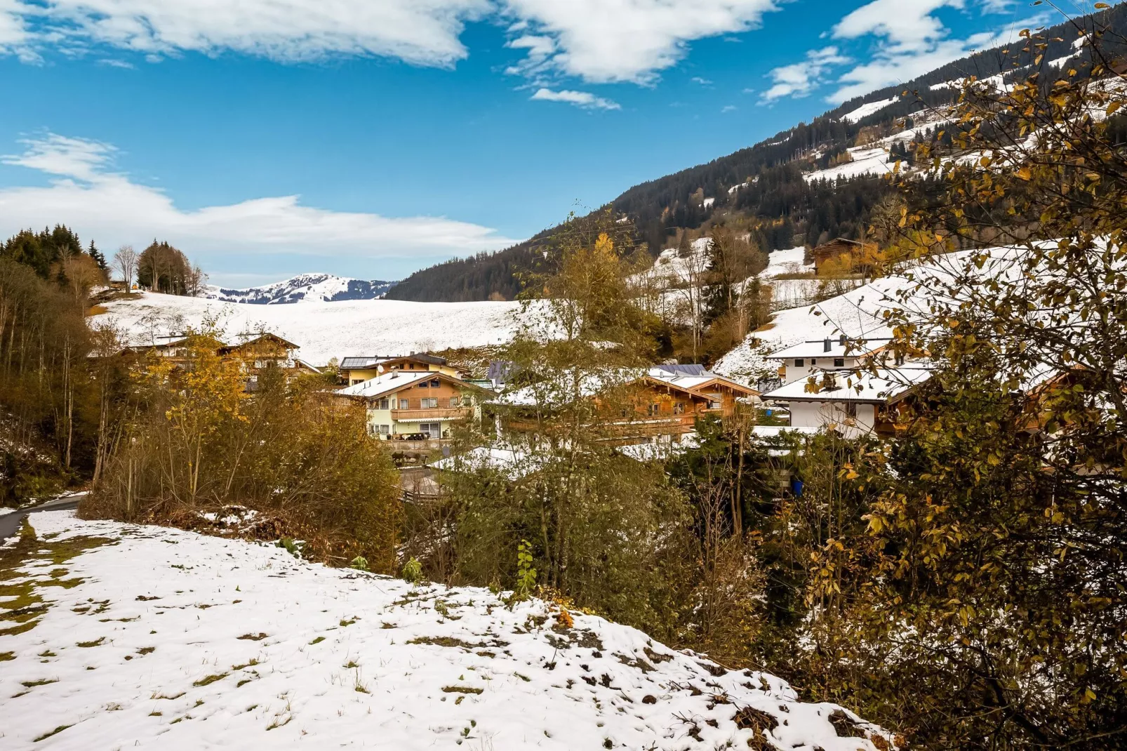 Bauernhaus Fuchs-Gebieden zomer 1km