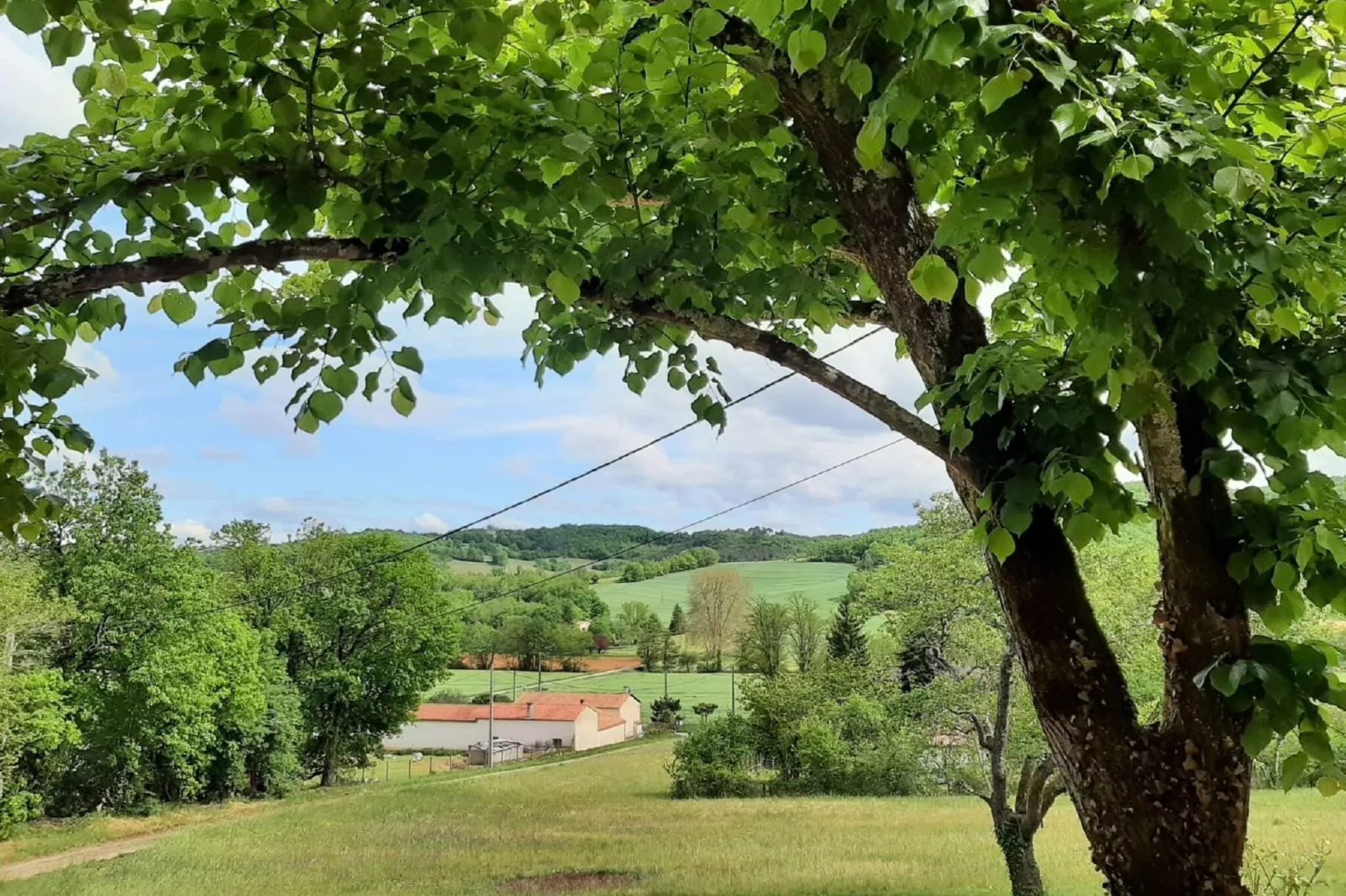 Gîte 1-Uitzicht zomer