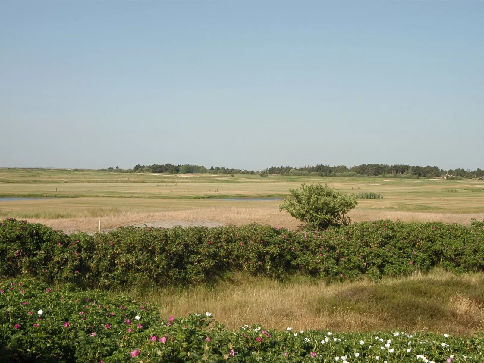 "Ennike" - 2.3km from the sea-Buiten