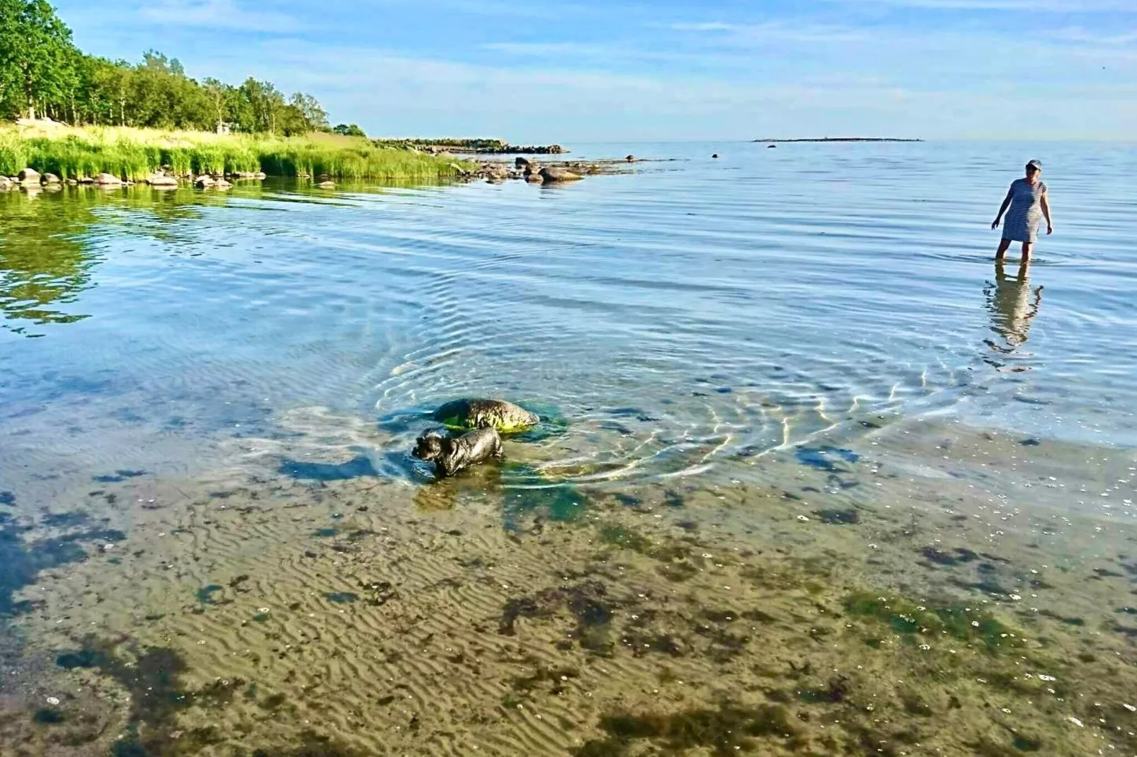 6 persoons vakantie huis in STURKÖ-By Traum-Niet-getagd
