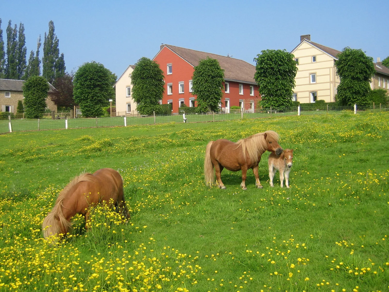 Bungalowpark Landsrade-Buiten