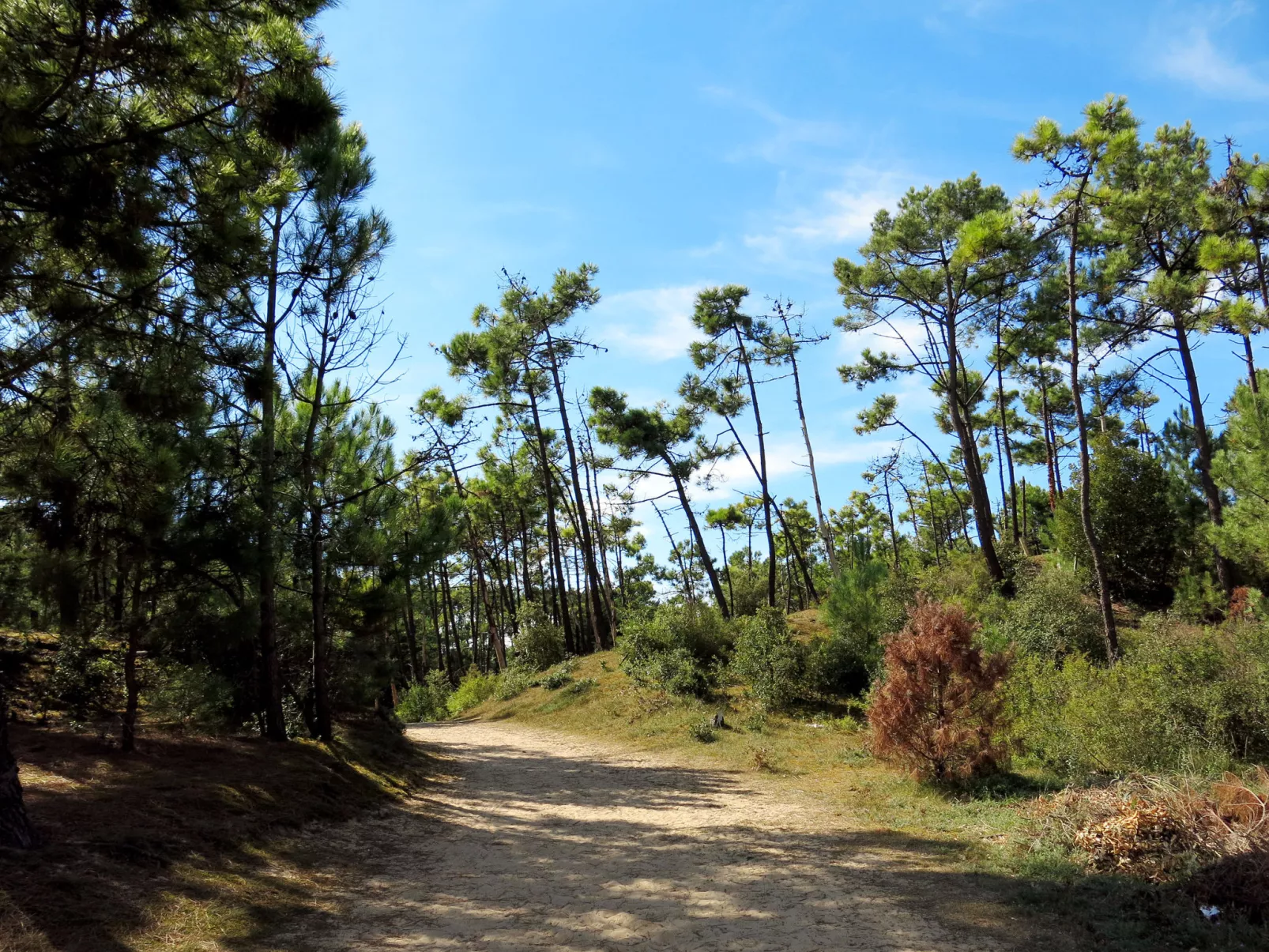 Les Mas de St. Hilaire-Buiten