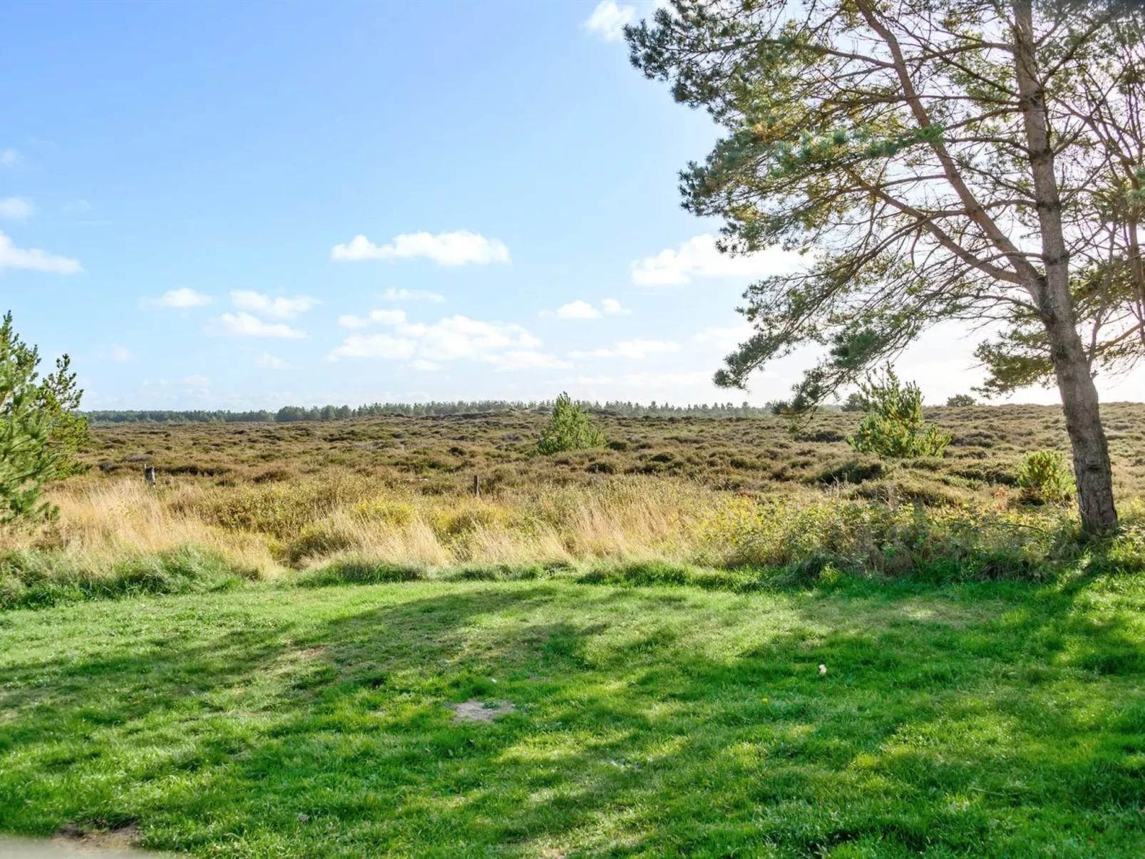 "Ragmar" - 2.2km from the sea in Western Jutland-Buiten