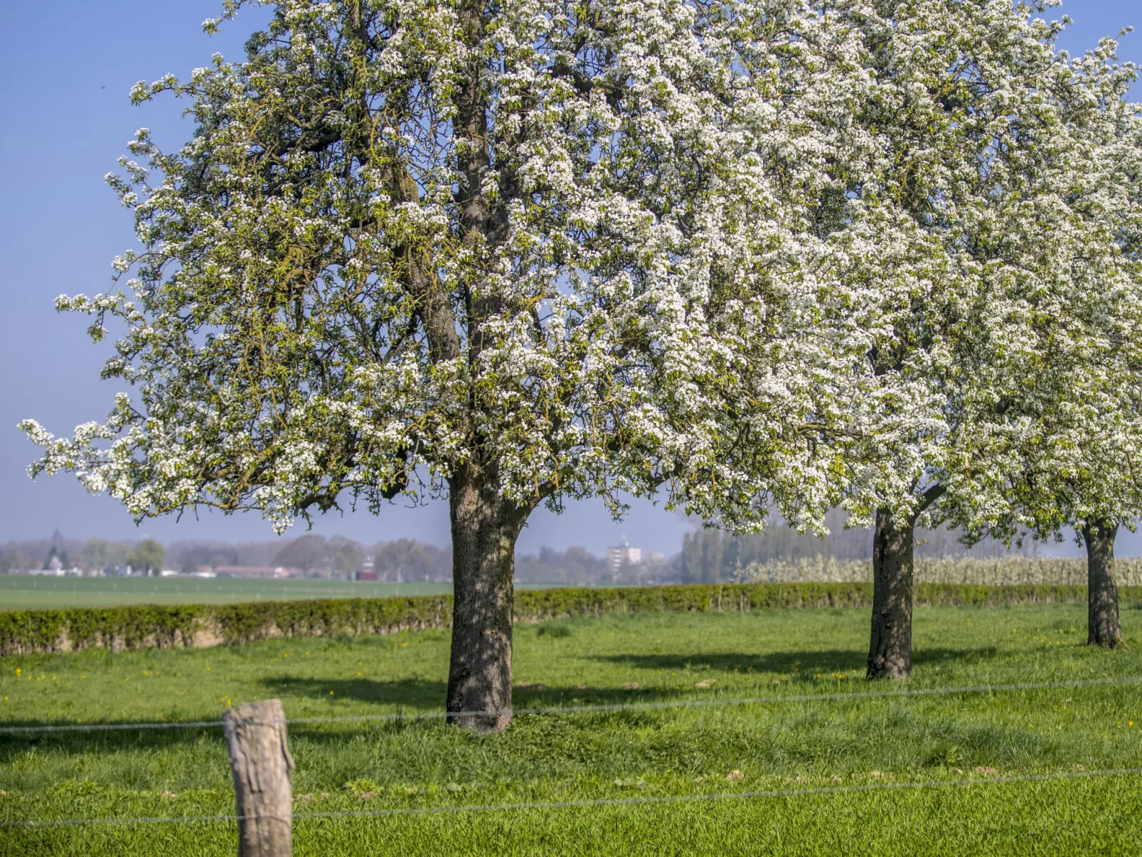 Bungalowpark Landsrade-Buiten