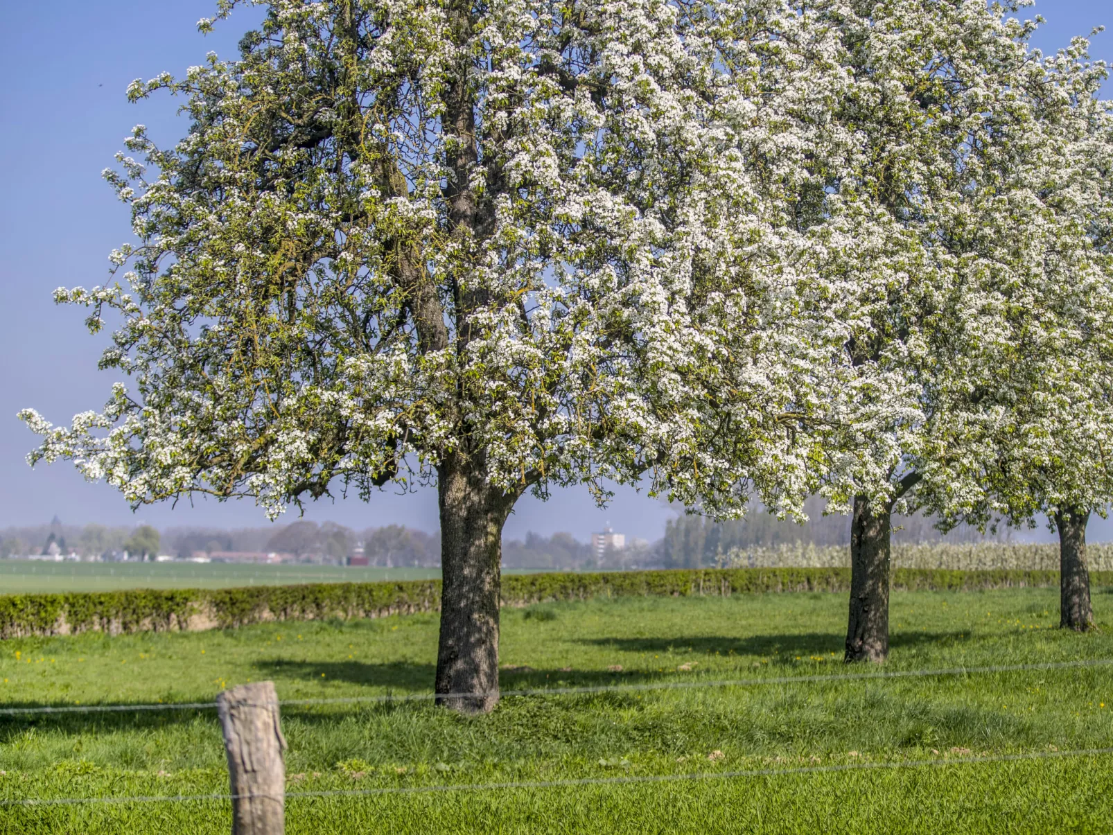 Bungalowpark Landsrade-Buiten