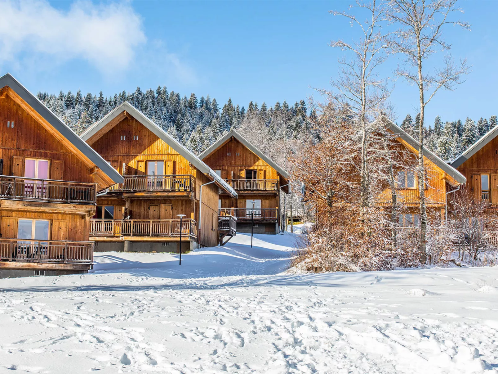 Les Chalets du Berger-Buiten