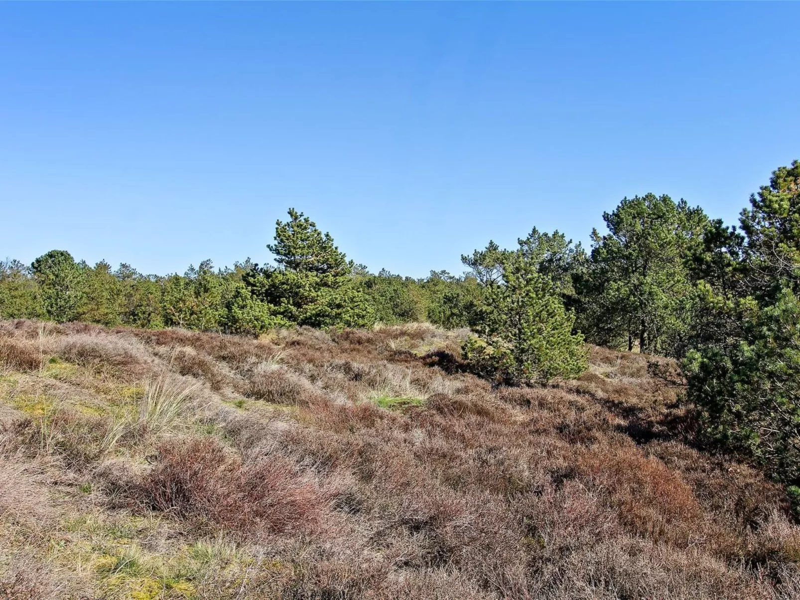 "Alexandra" - 2.3km from the sea in Western Jutland-Buiten