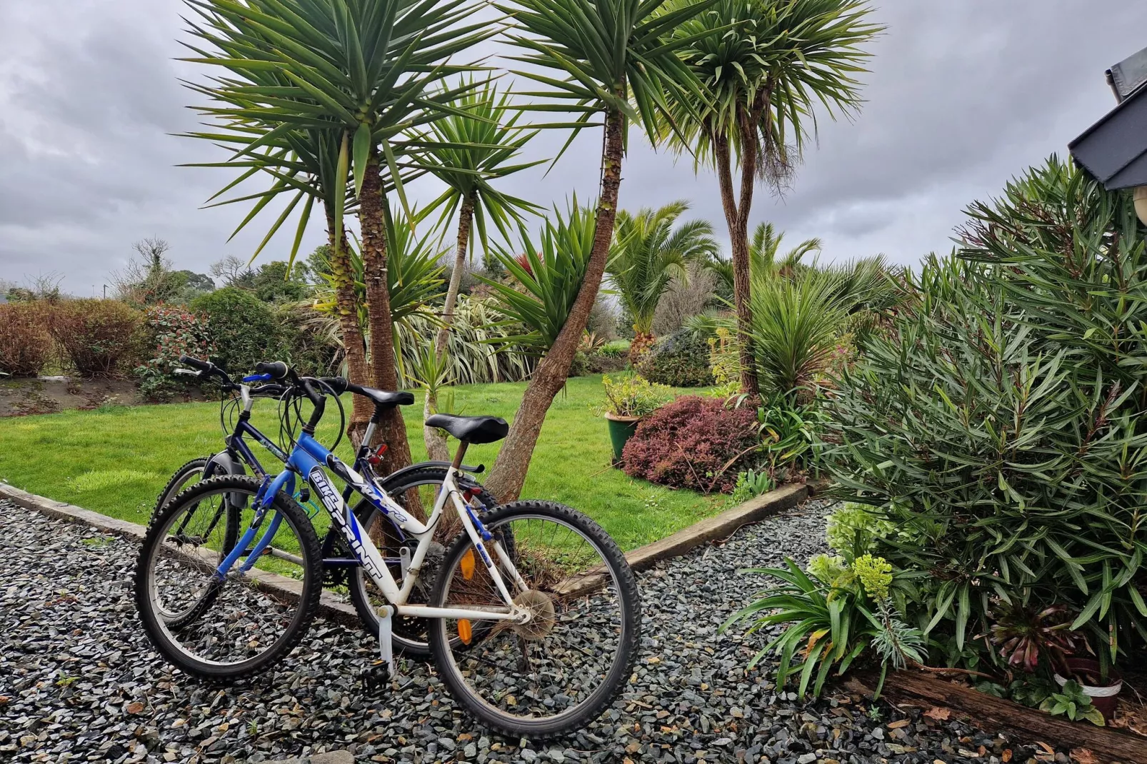 Pretty holiday home in palm garden near coast Pleubian