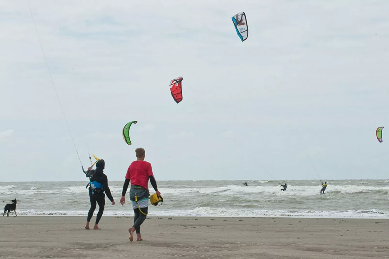 Residence Zeebrugge 12-Gebieden zomer 5km