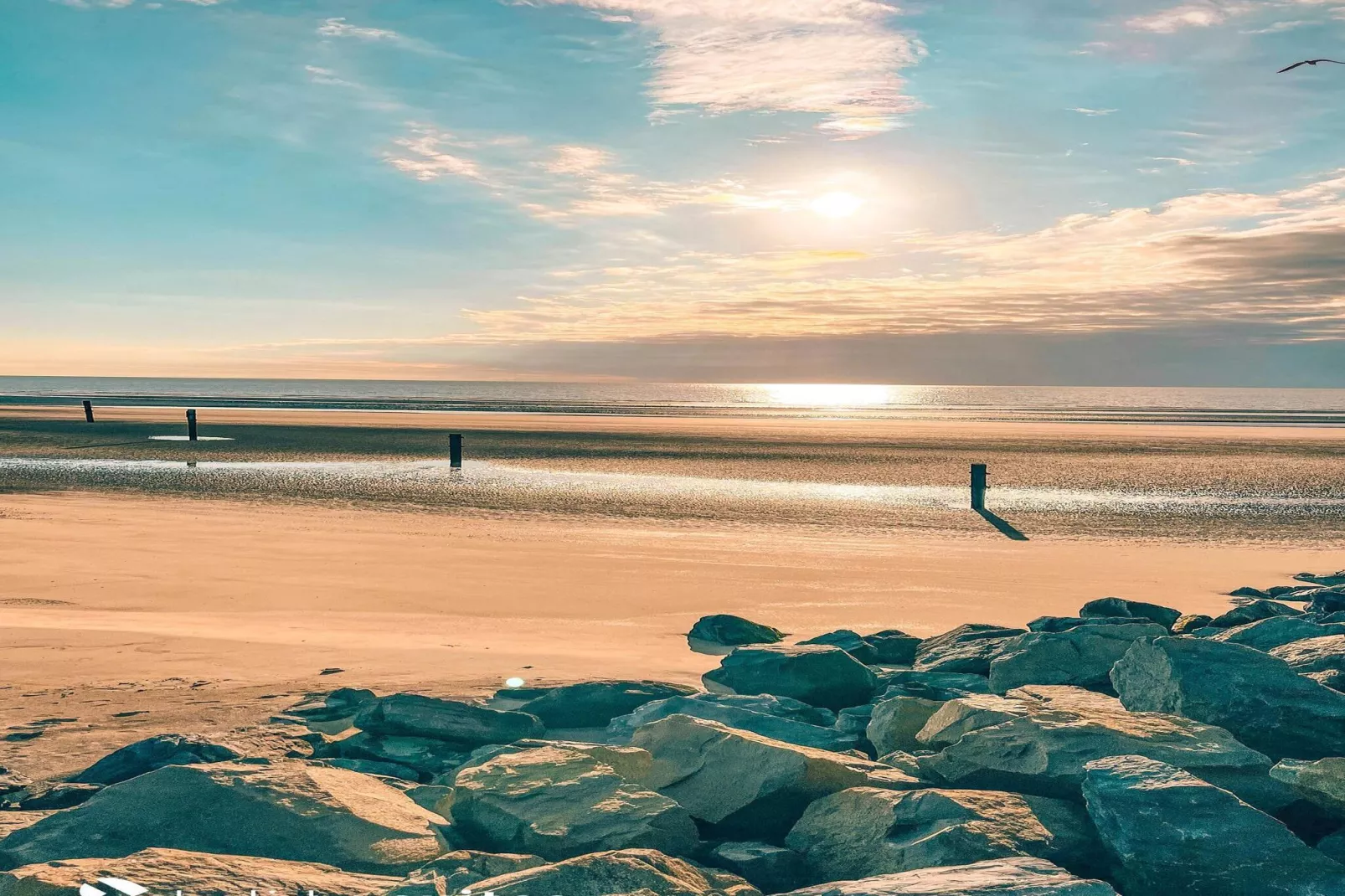 Residence Zeebrugge 4-Gebieden zomer 5km