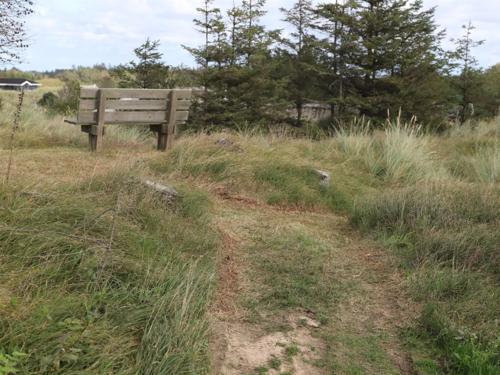 "Vanamo" - 300m from the sea-Buiten
