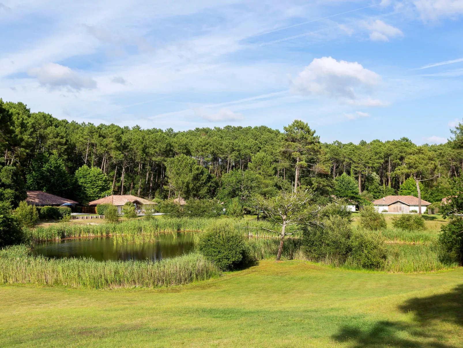 Clairière aux Chevreuils-Buiten