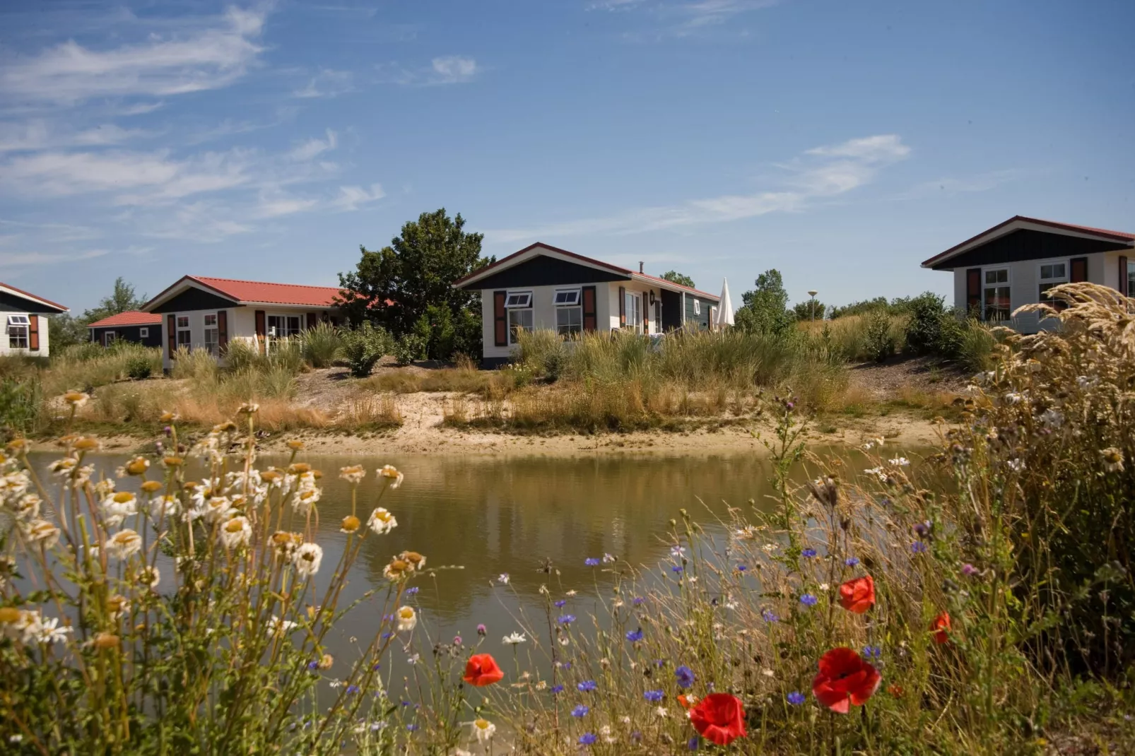 Vakantiepark de Krim 6-Buitenkant zomer