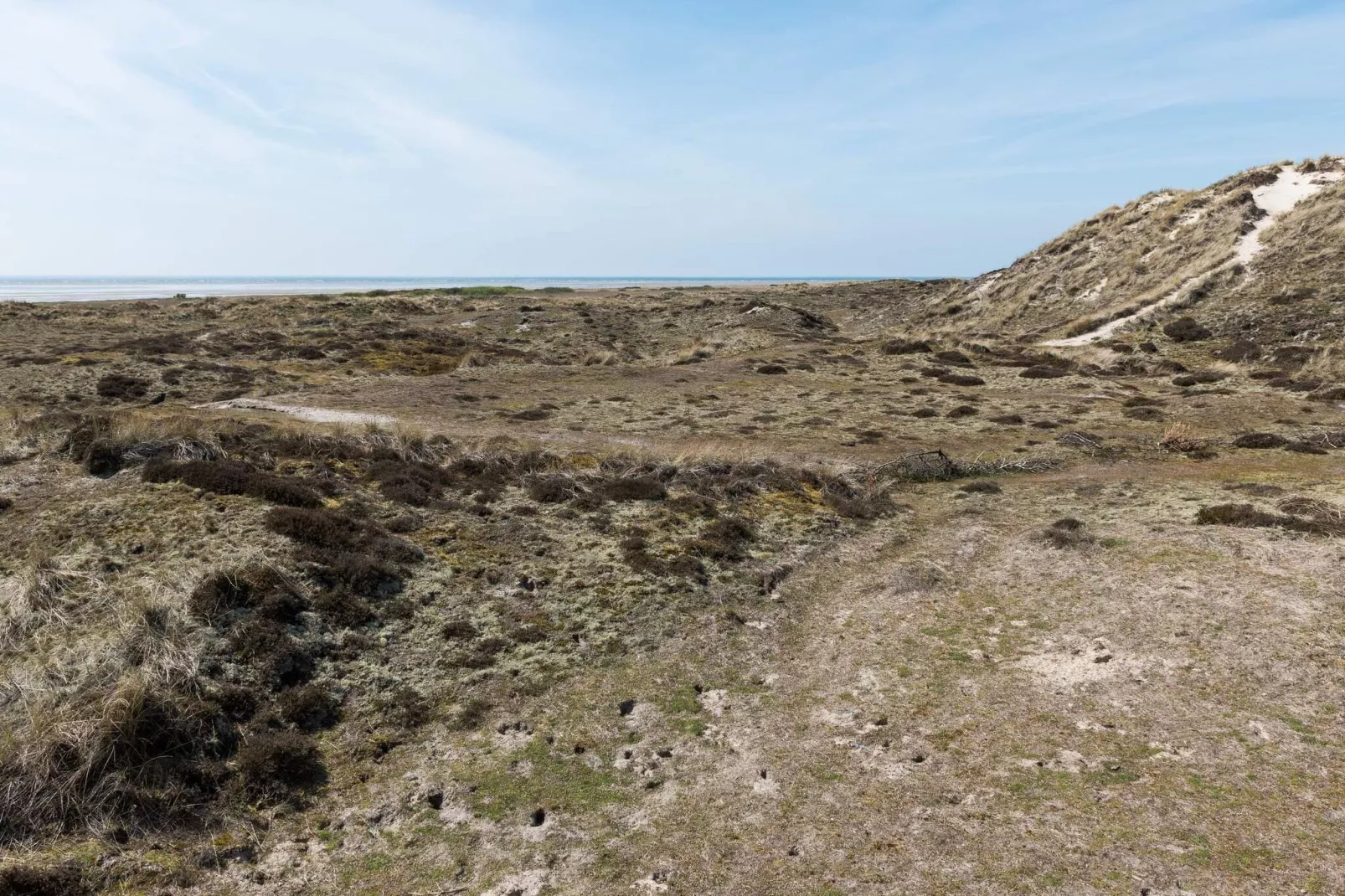 6 persoons vakantie huis in Fanø-Uitzicht