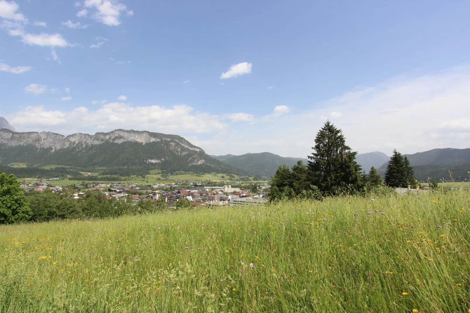 Hollerhaus-Gebieden zomer 1km