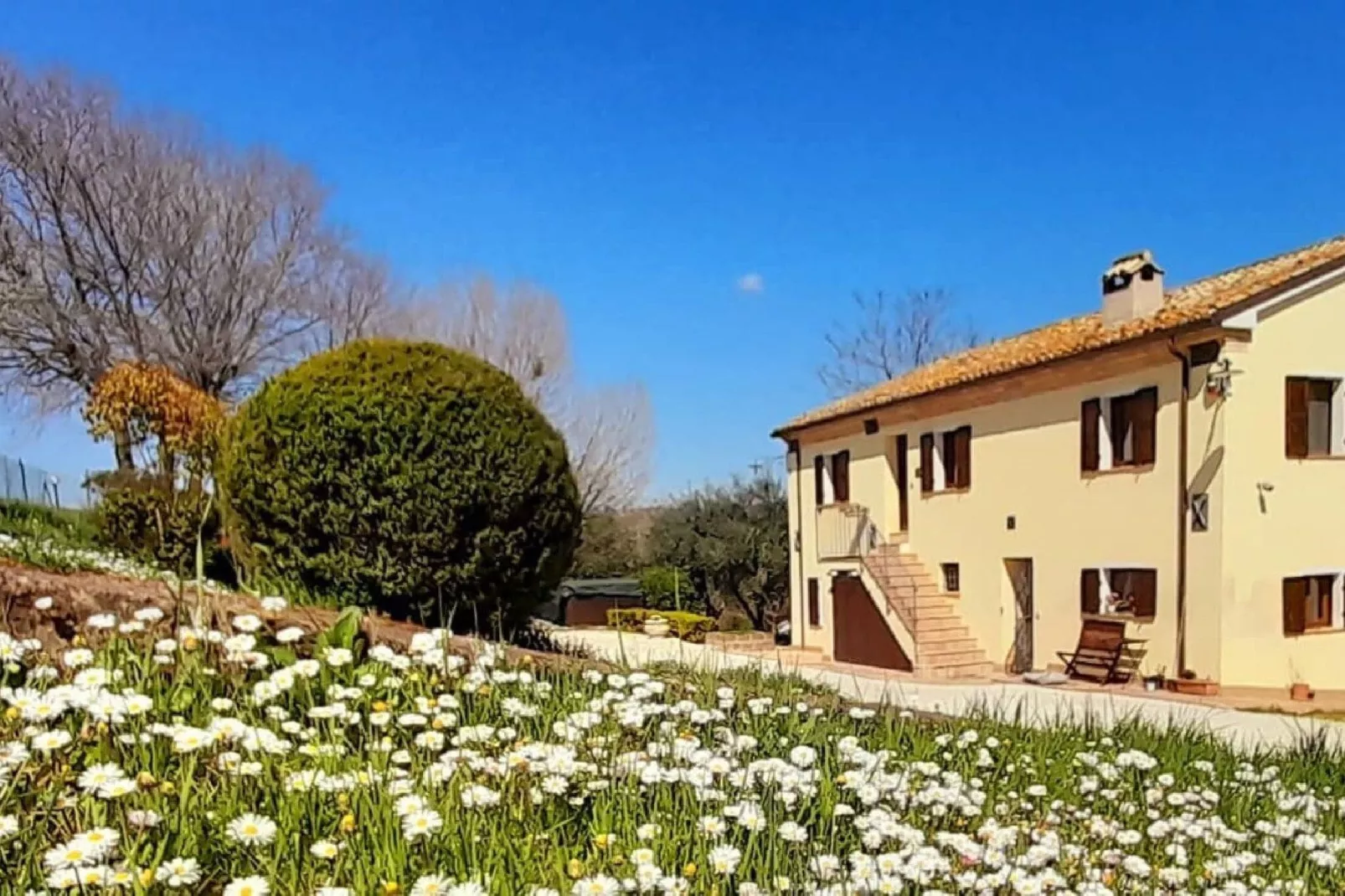 Casale degli Ulivi-Buitenkant zomer