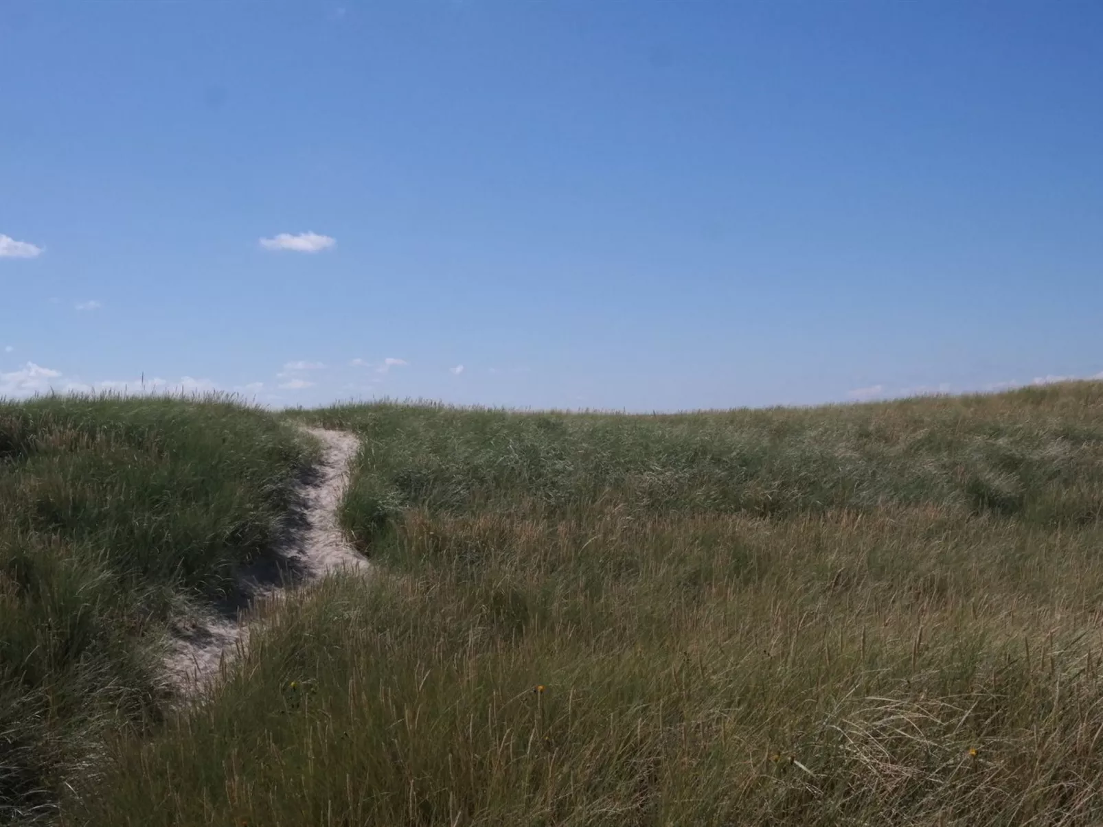 "Dietlinde" - 100m from the sea-Buiten