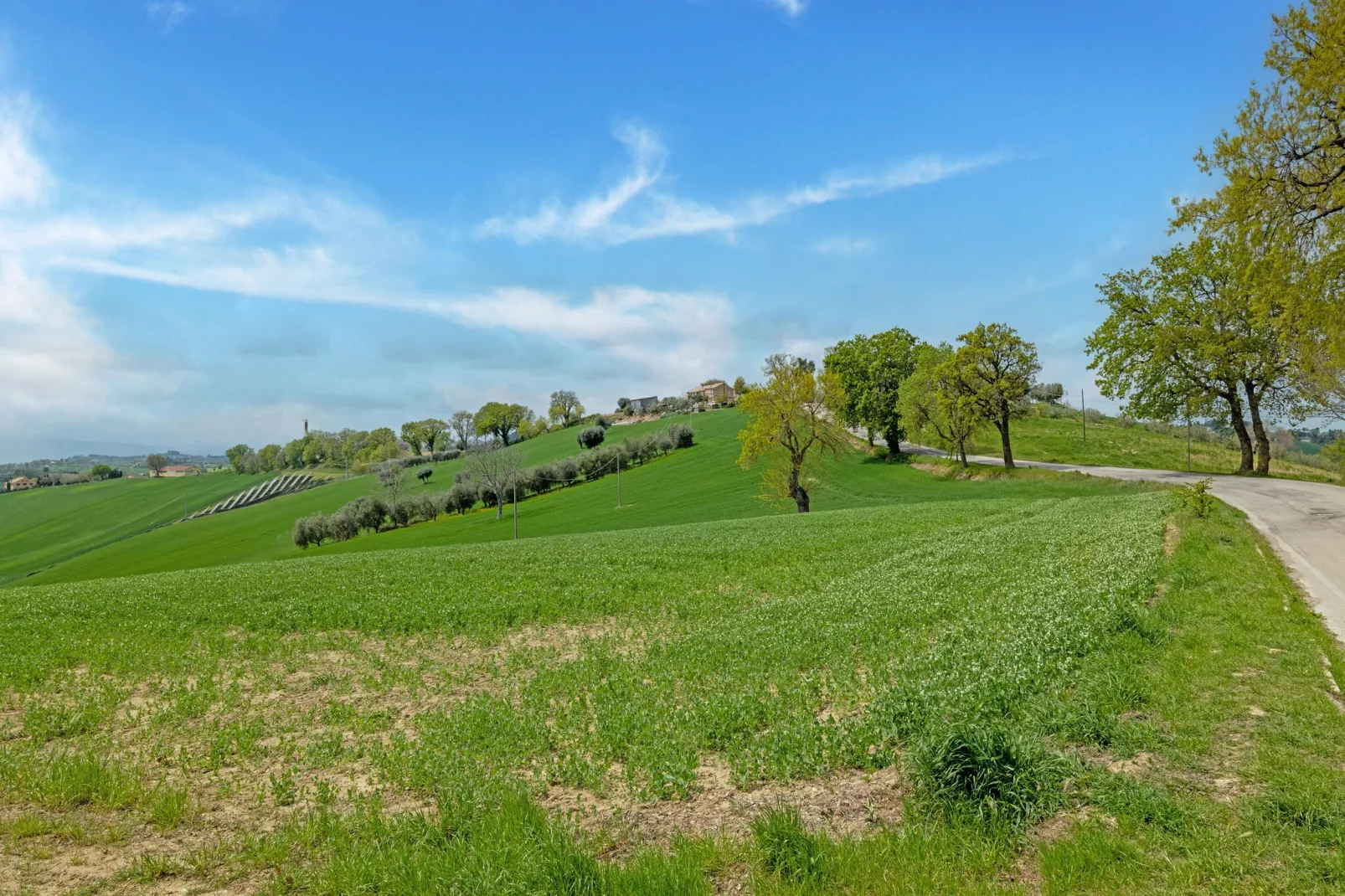 Casale degli Ulivi-Gebieden zomer 5km