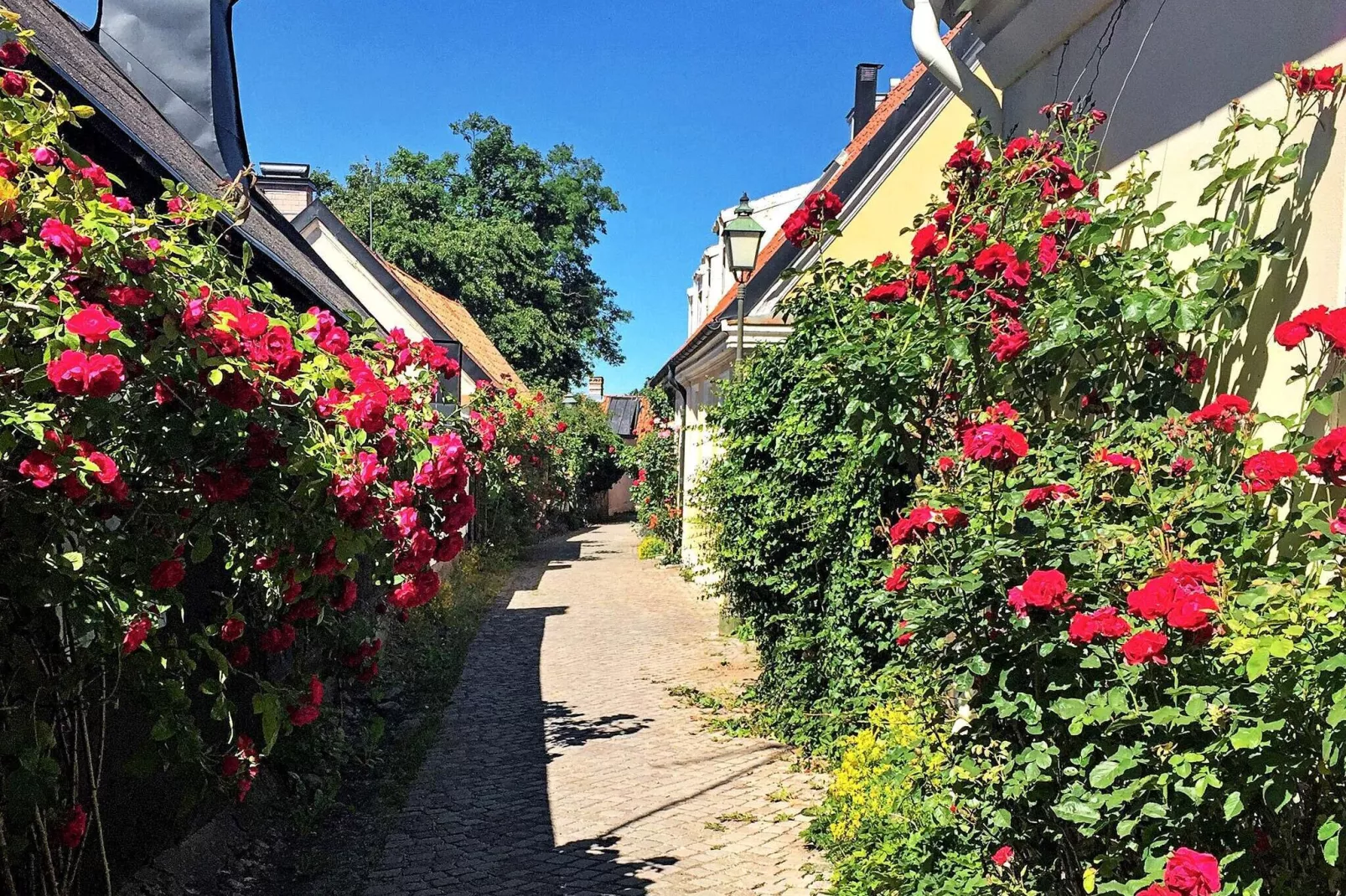 6 persoons vakantie huis in VISBY-Niet-getagd