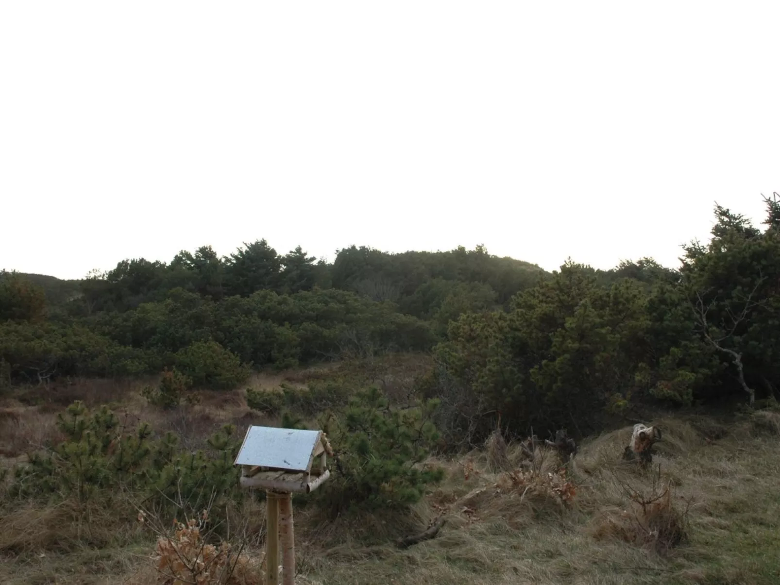 "Annita" - 300m from the sea-Buiten