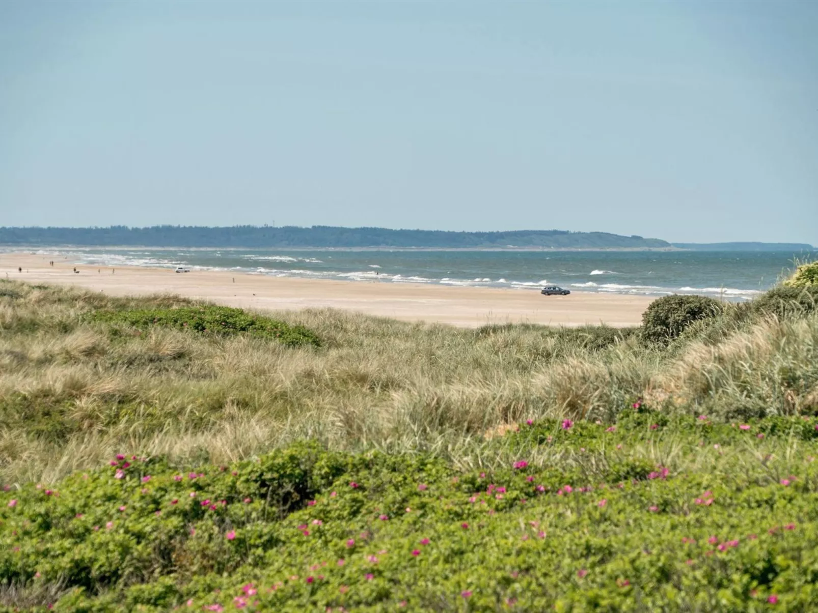 "Tinea" - 50m from the sea-Buiten