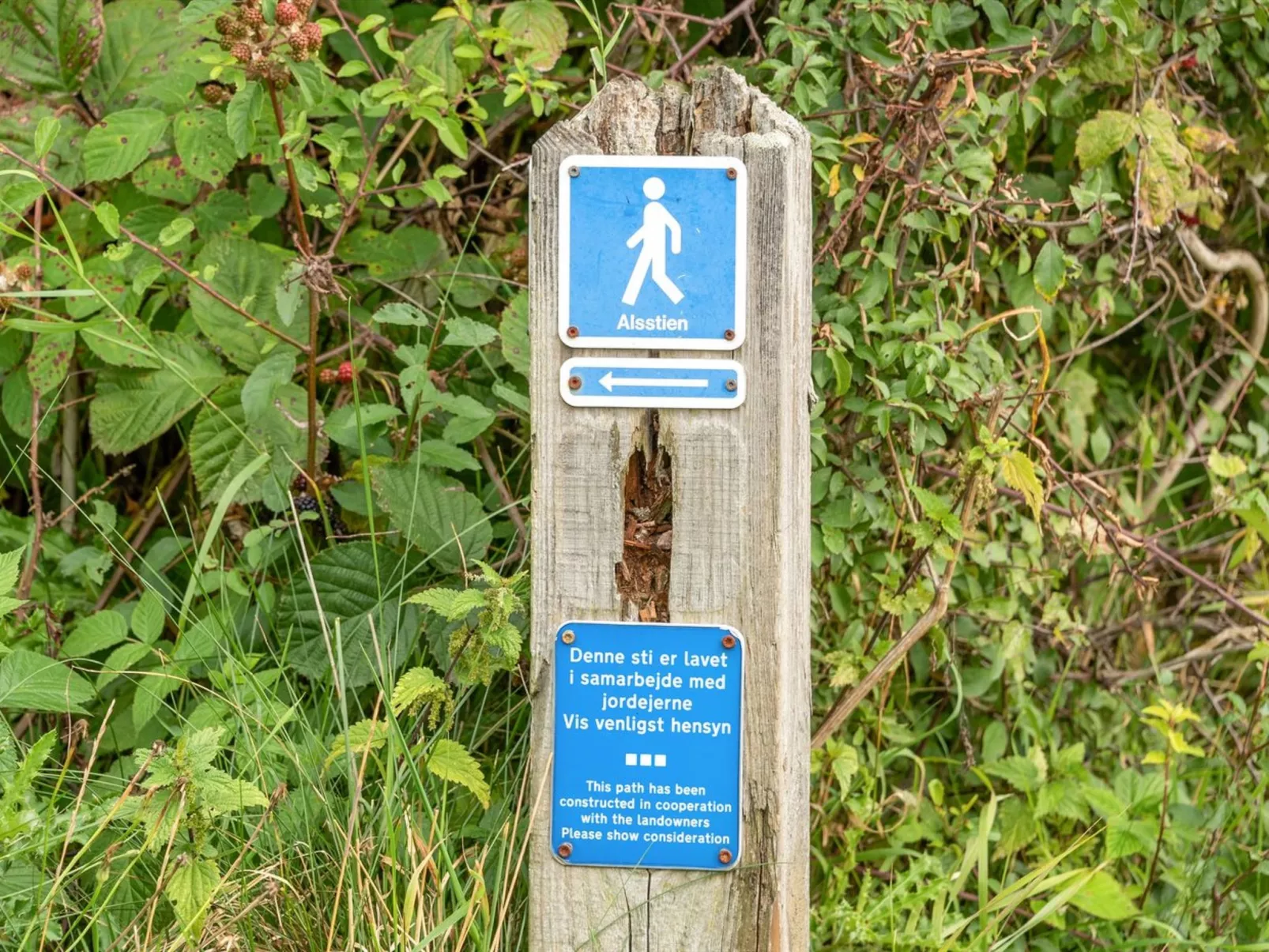 "Gudmunde" - 200m from the sea-Buiten