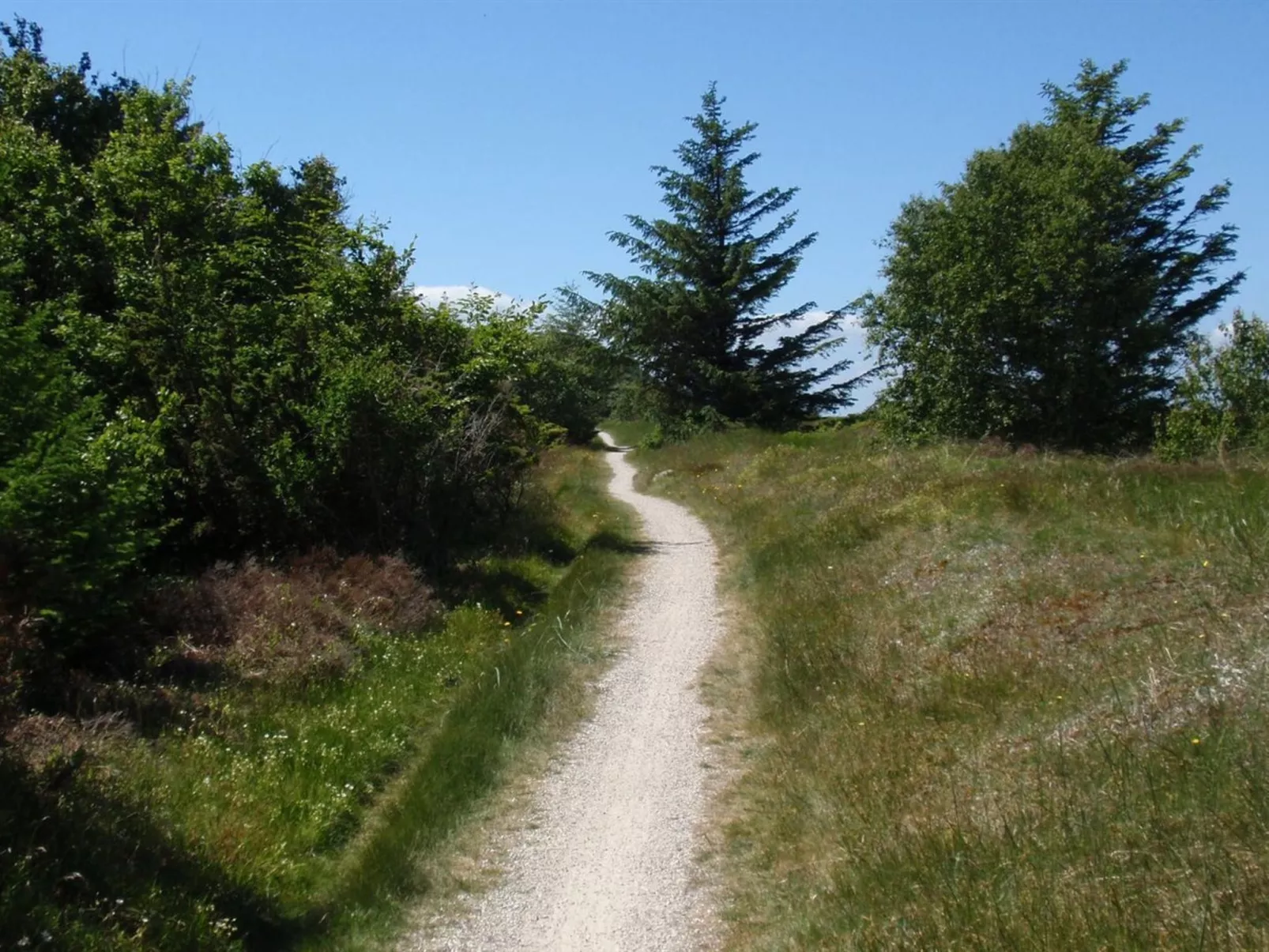 "Teodora" - 450m from the sea-Buiten