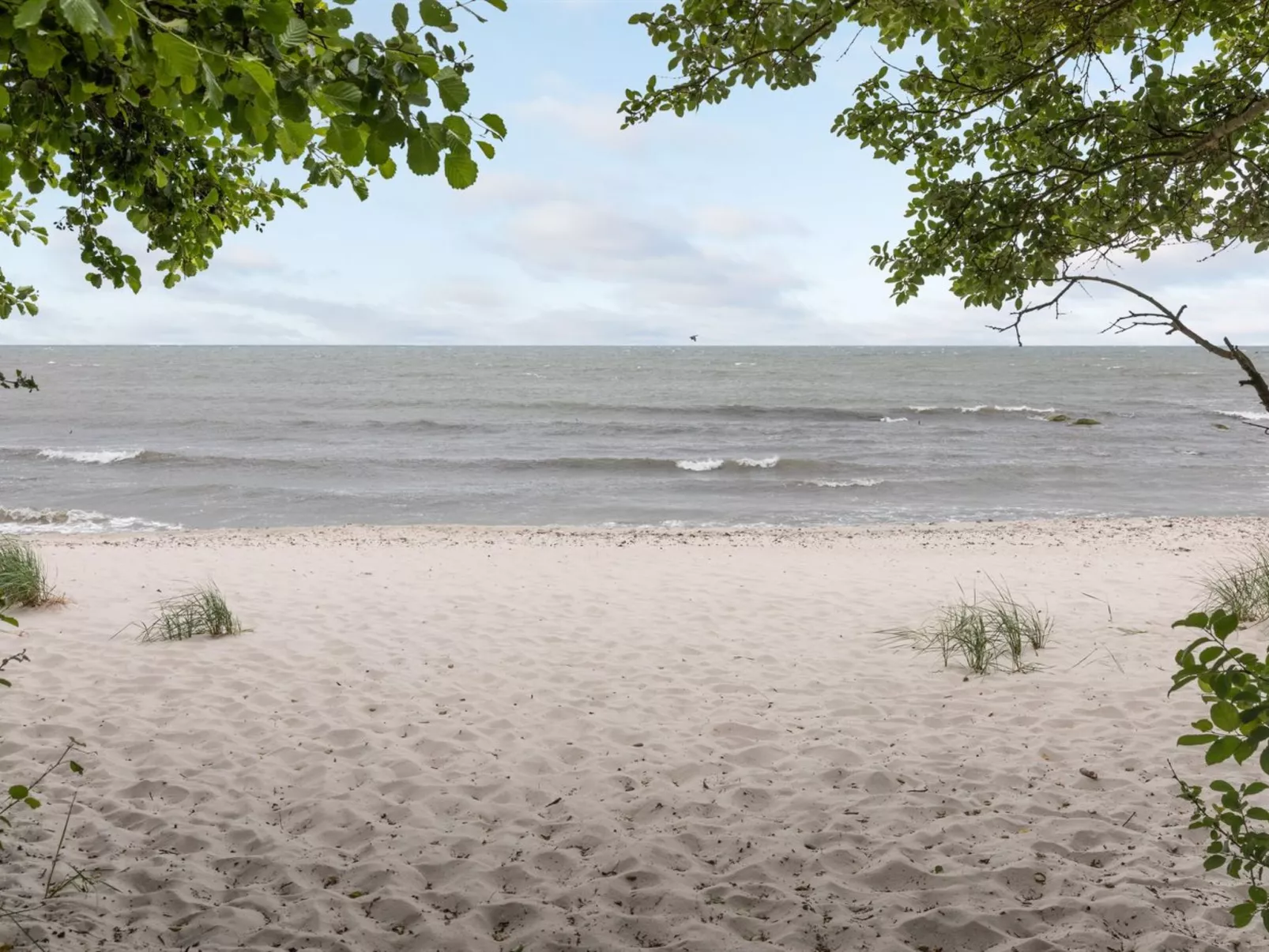 "Ila" - 500m from the sea-Buiten