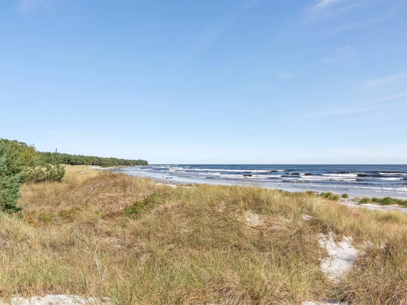 "Selvi" - 125m from the sea-Buiten