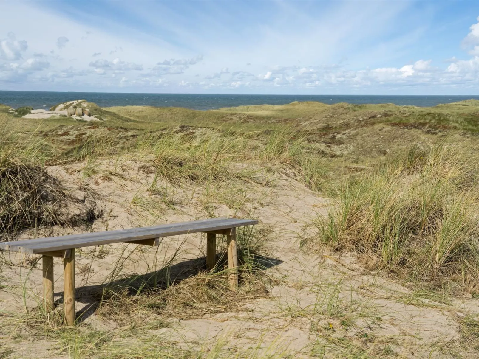 "Ewy" - 300m from the sea-Buiten