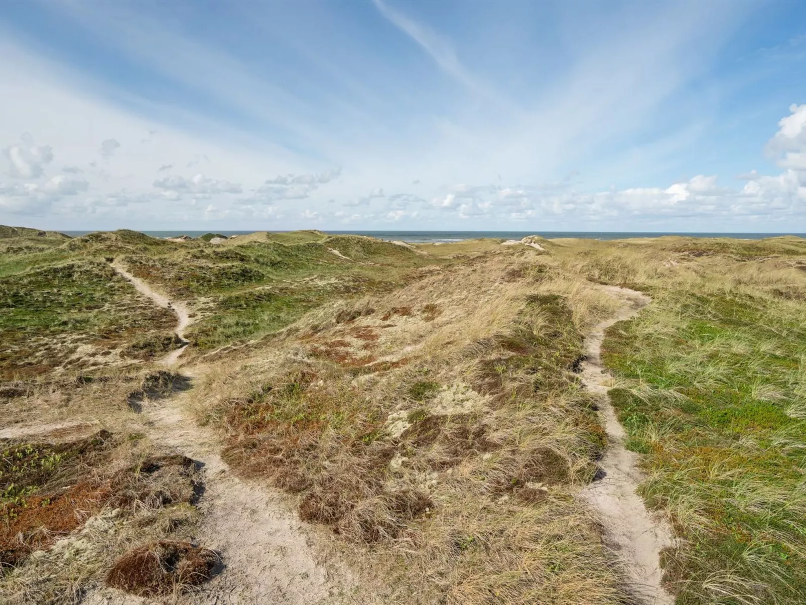 "Ewy" - 300m from the sea-Buiten