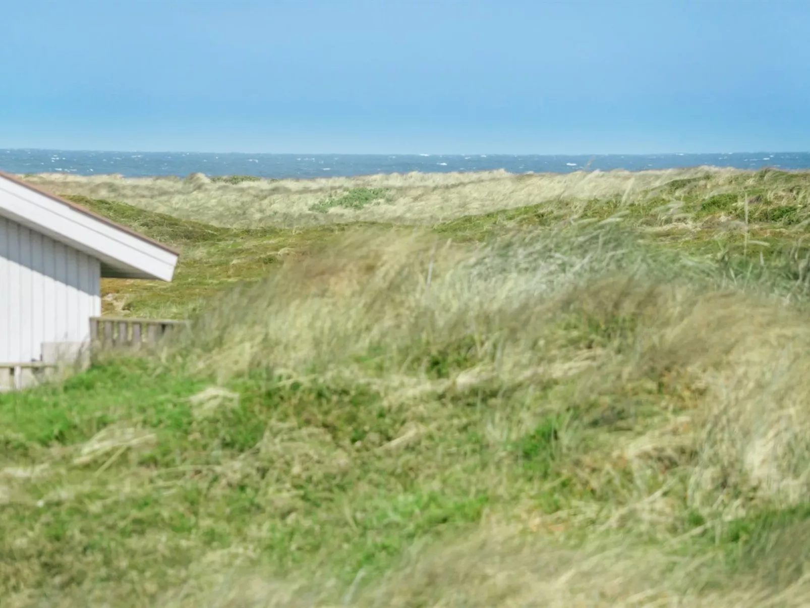 "Horsten" - 350m from the sea-Buiten
