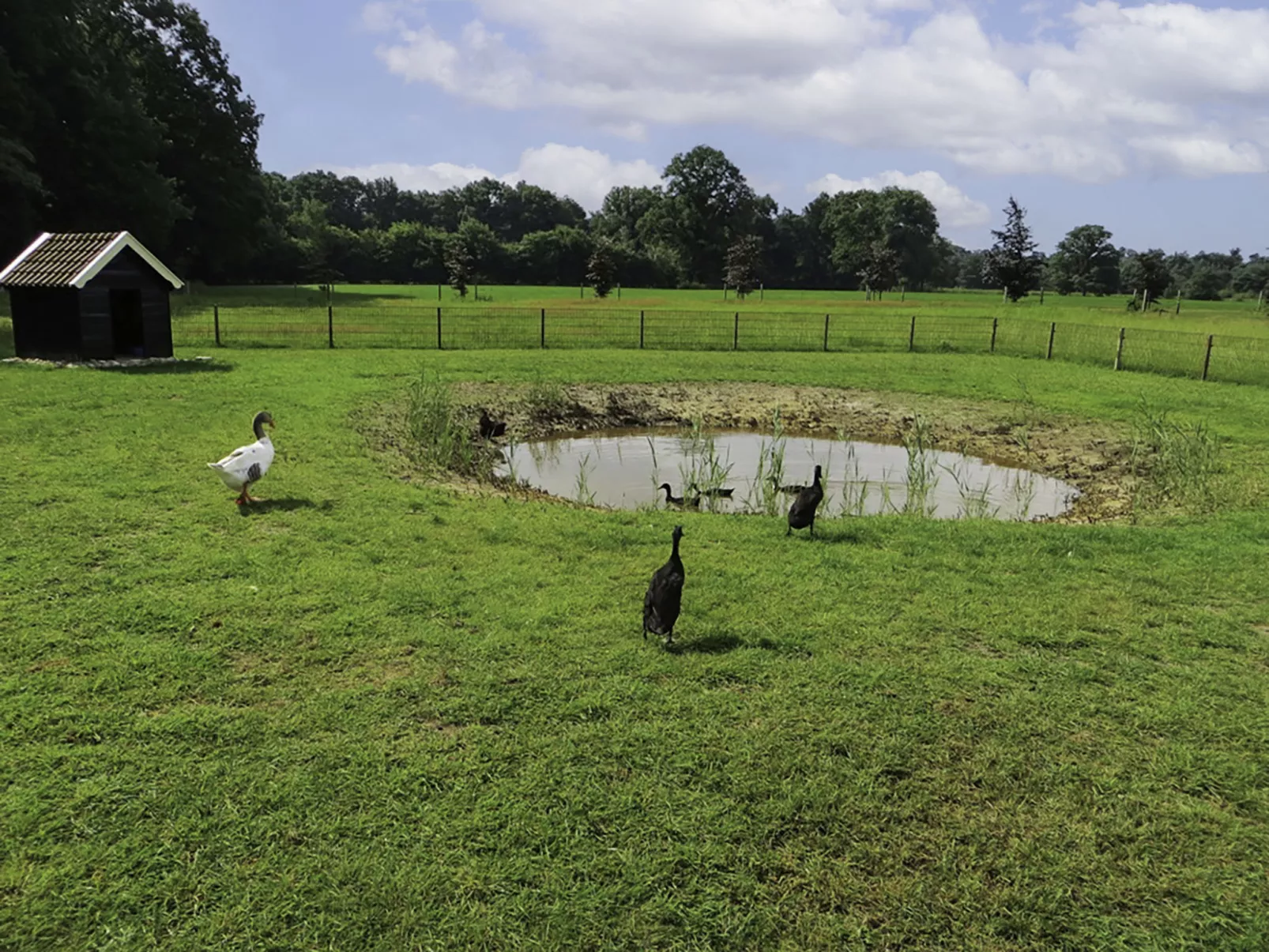 Familieboerderij-Buiten