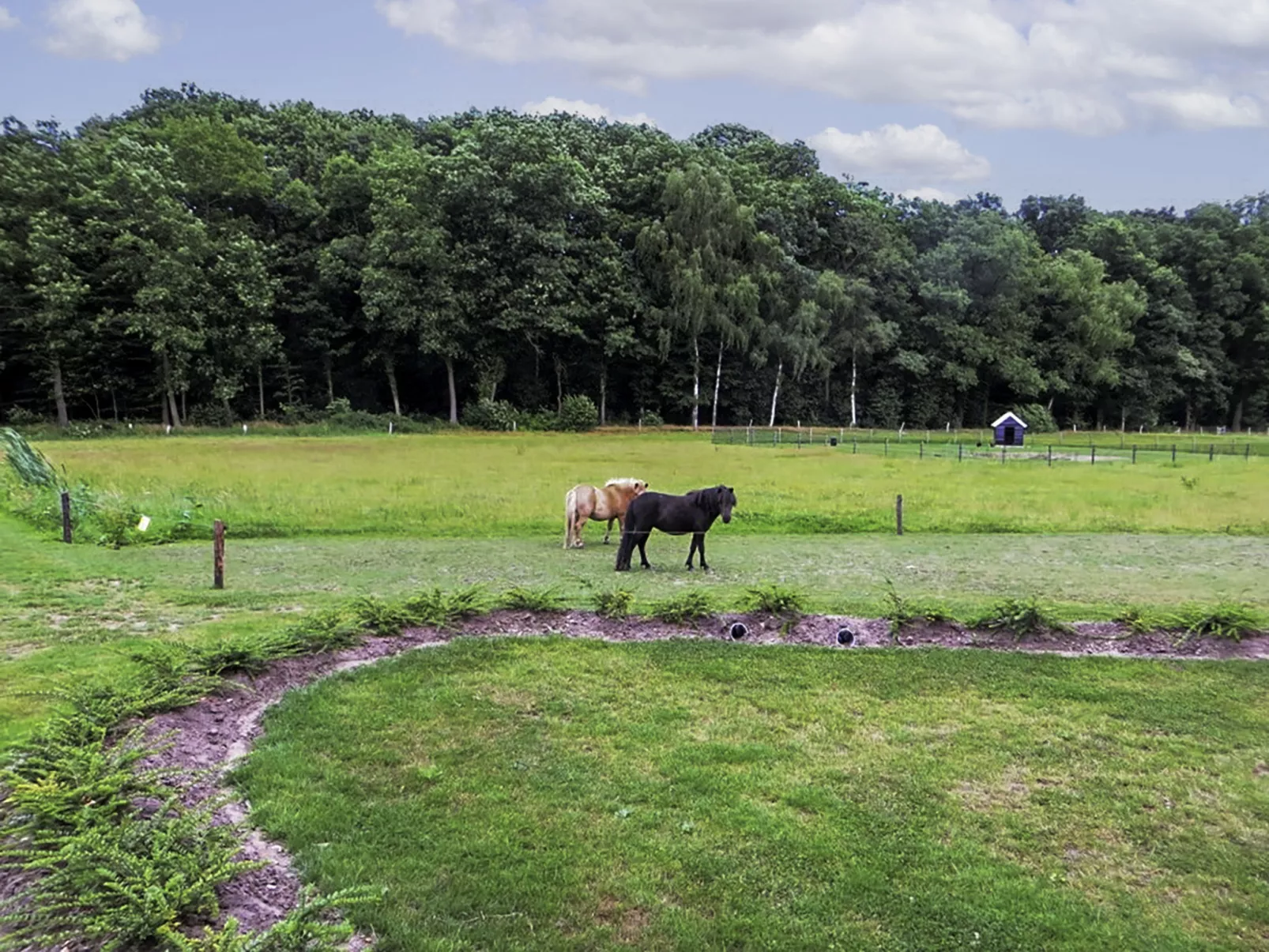 Familieboerderij-Buiten