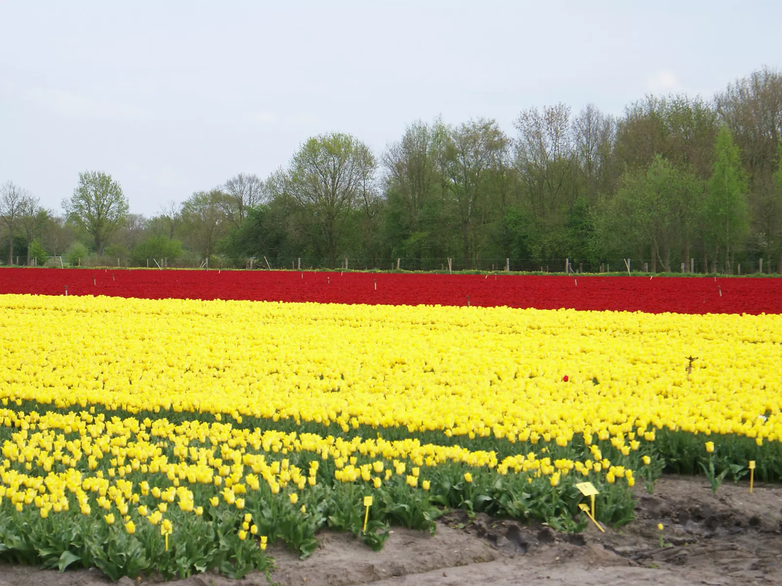 Onder De Eiken-Buiten