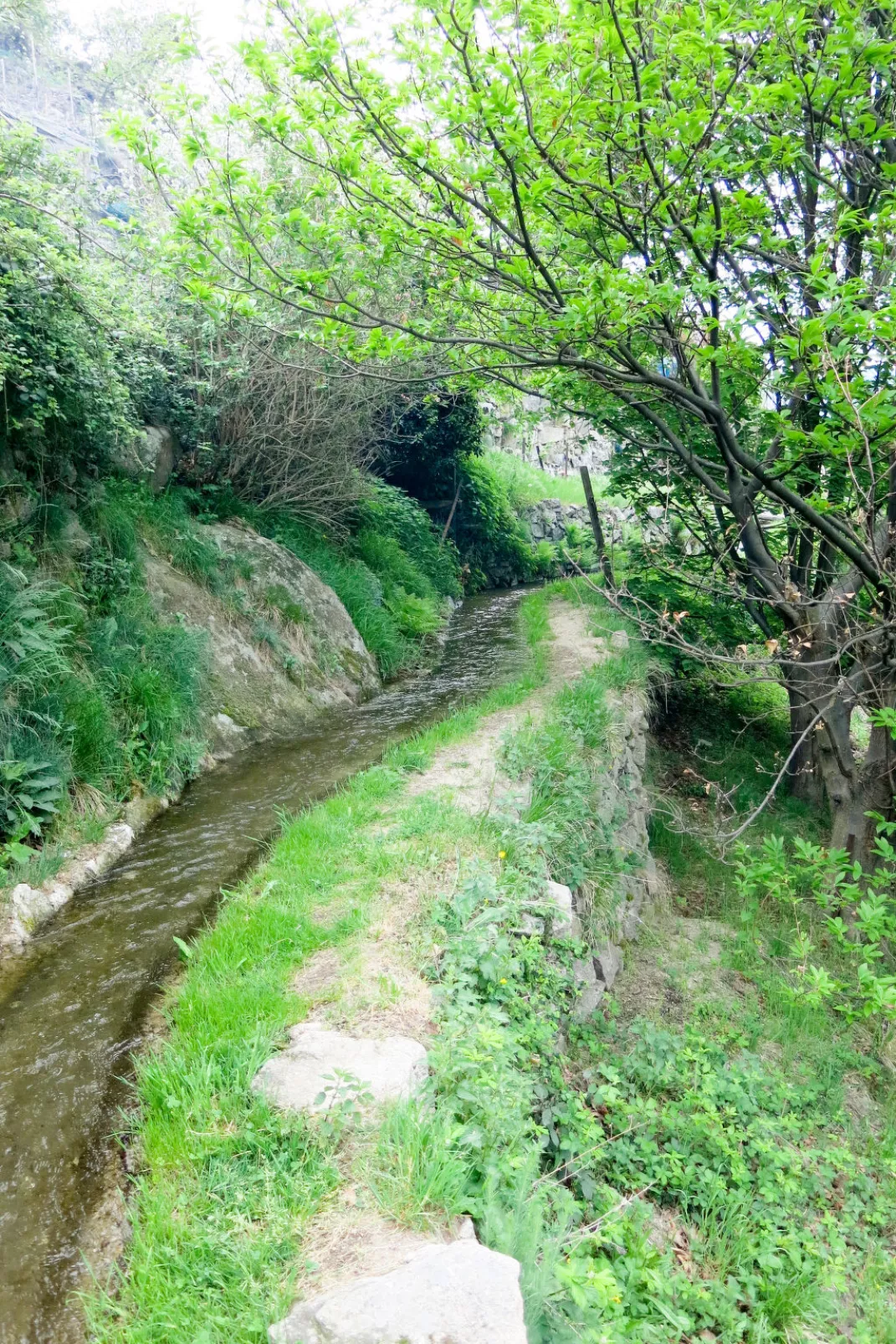 Le Rouge Borne-Buiten