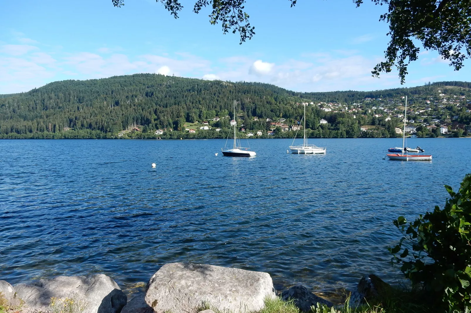 La Schwingmuhle-Gebieden zomer 20km