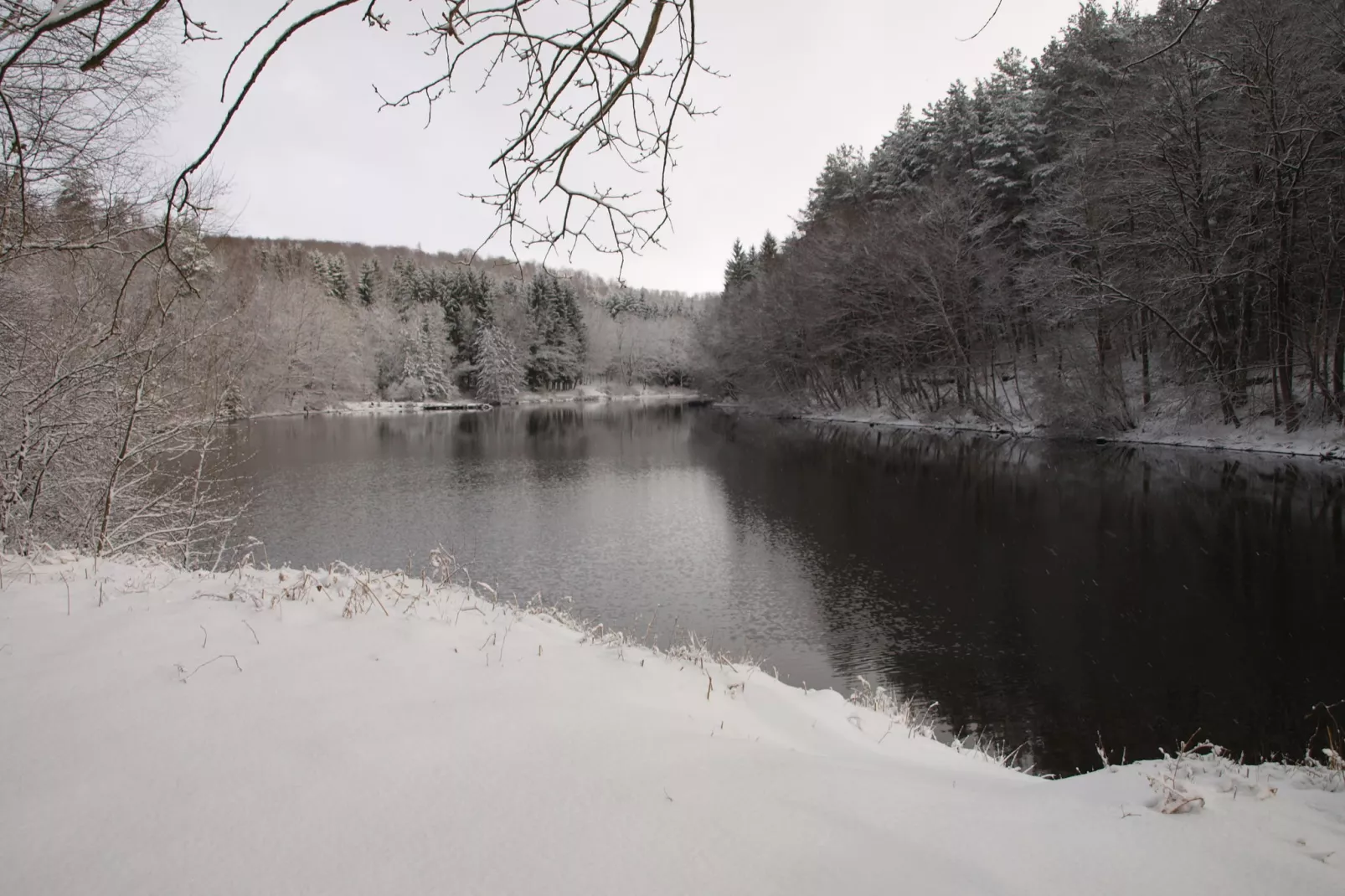 La Schwingmuhle-Tuin winter