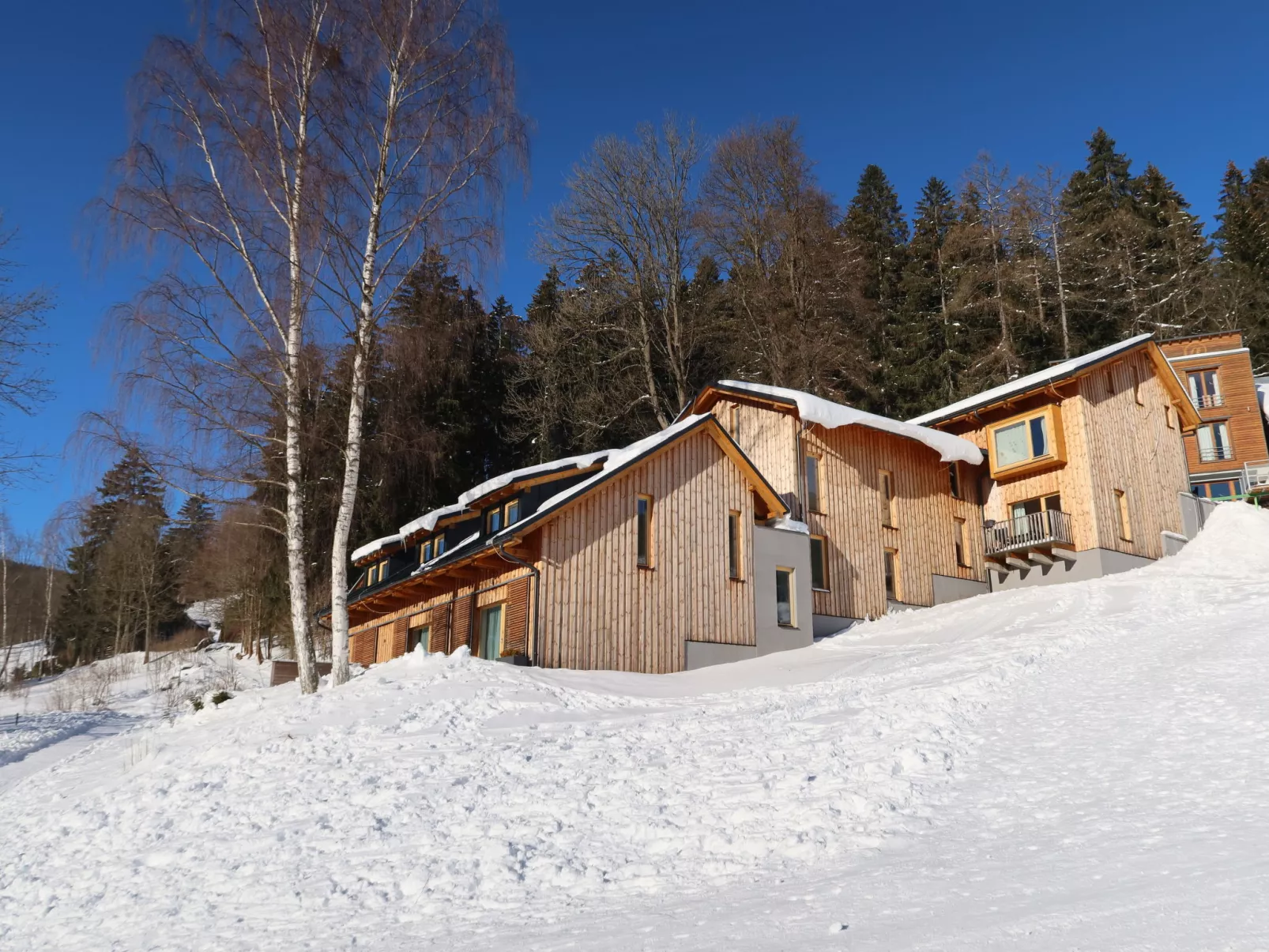 Ski-In Ski-Out Mountain Duplex Portášky3-Buiten