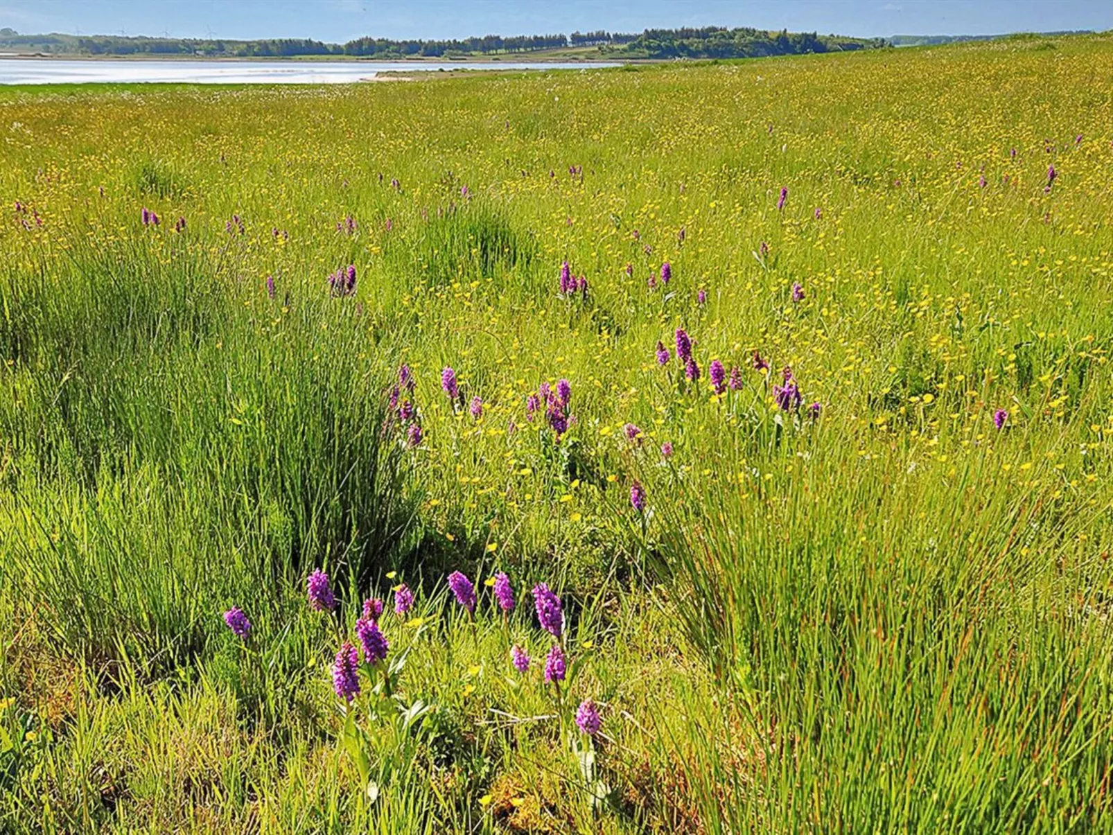 "Alrun" - 150m to the inlet-Buiten