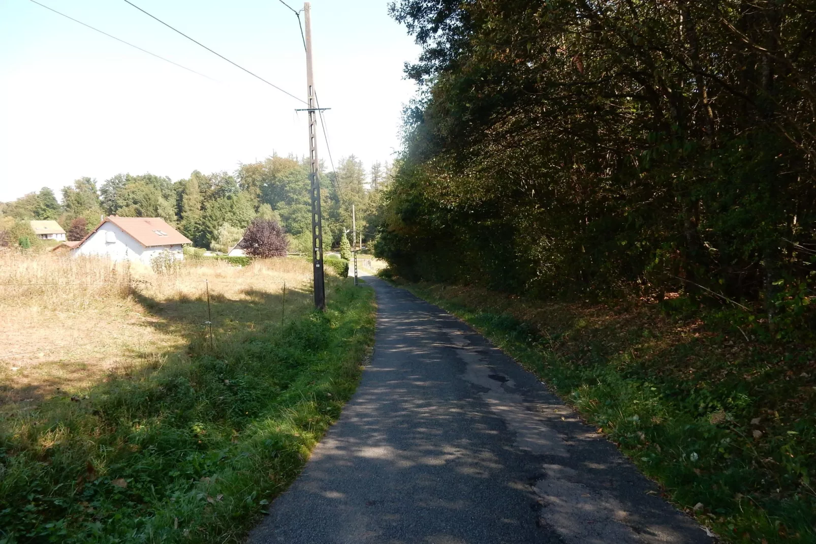 Carpe Diem-Gebieden zomer 1km