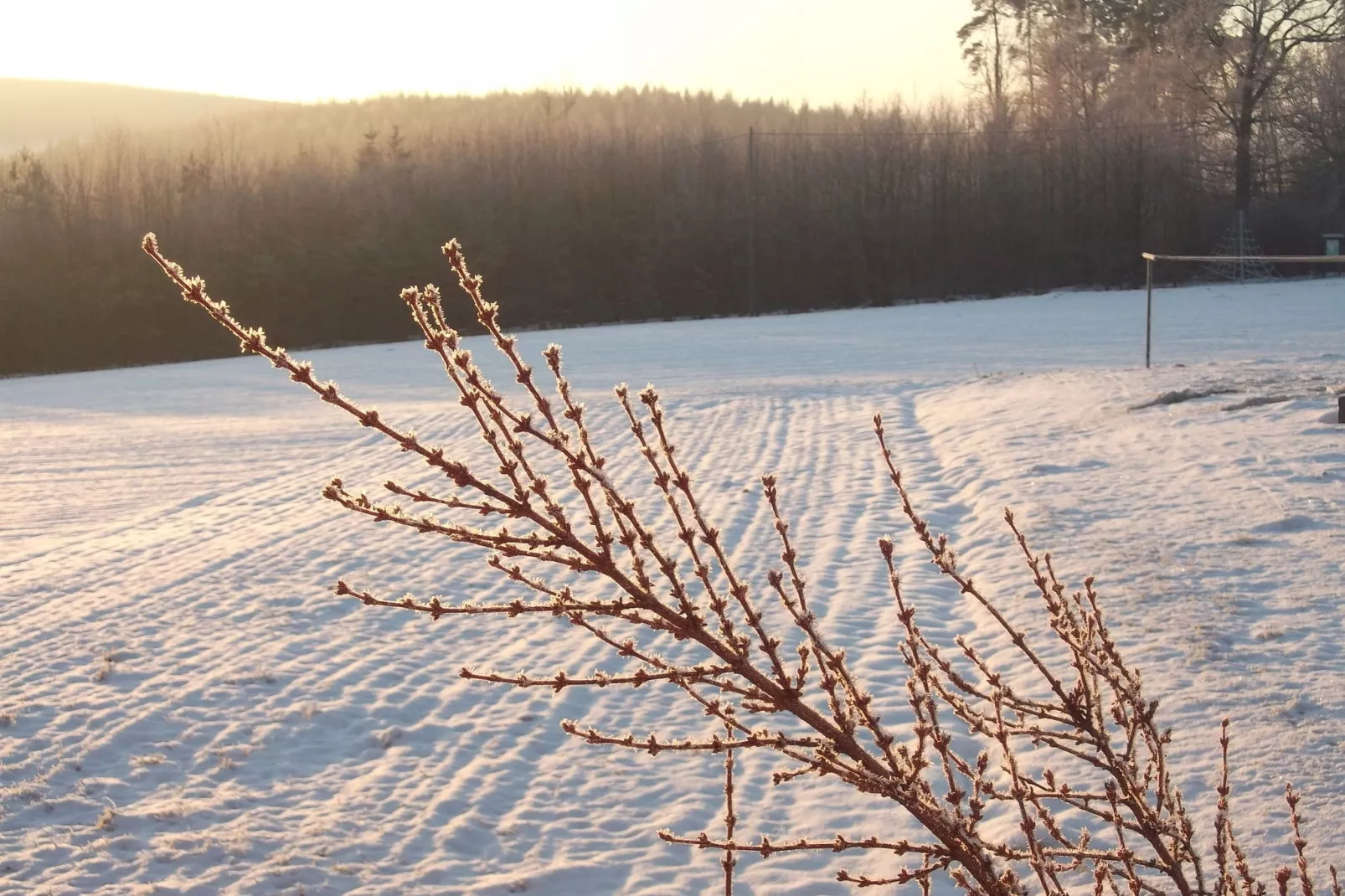 Carpe Diem-Gebied winter 1km