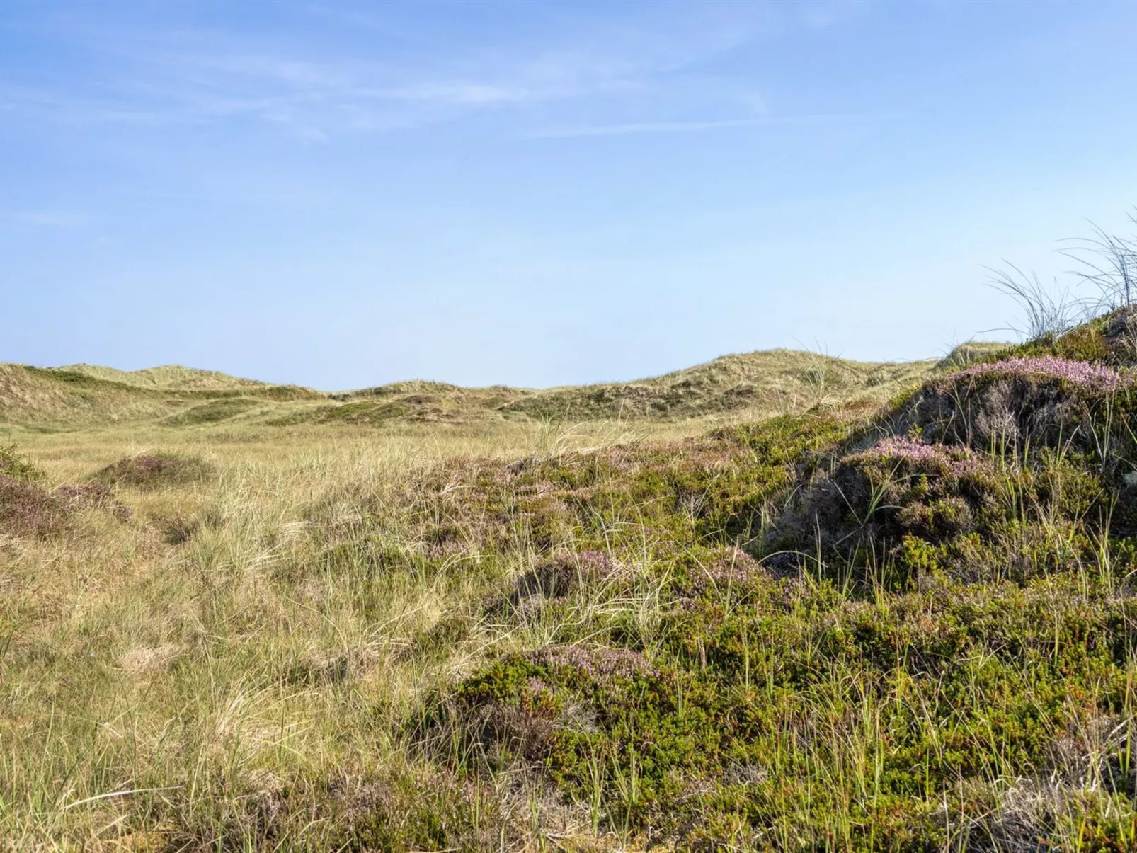 "Marjon" - 400m from the sea-Buiten