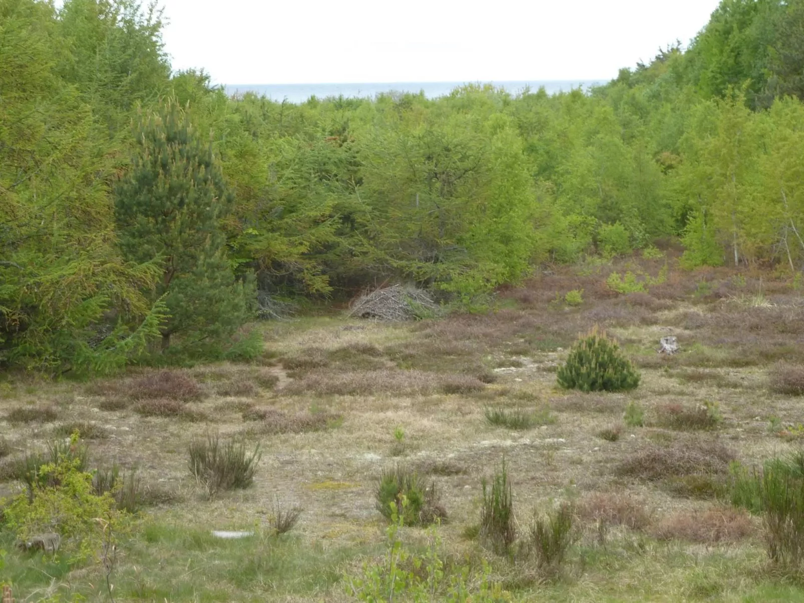 "Farah" - 275m from the sea-Buiten