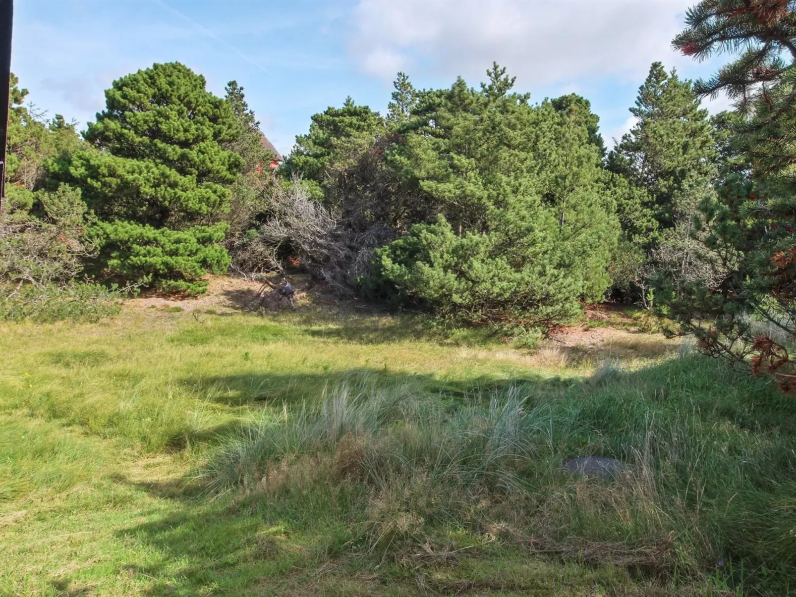 "Eliene" - 500m from the sea-Buiten