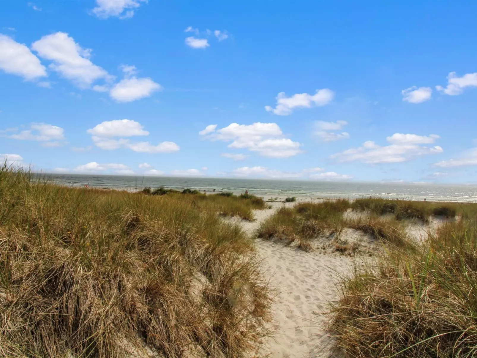 "Gunder" - 125m from the sea-Buiten