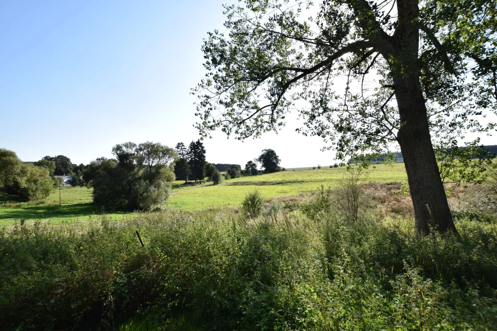 Maquis du cerf-Gebieden zomer 5km